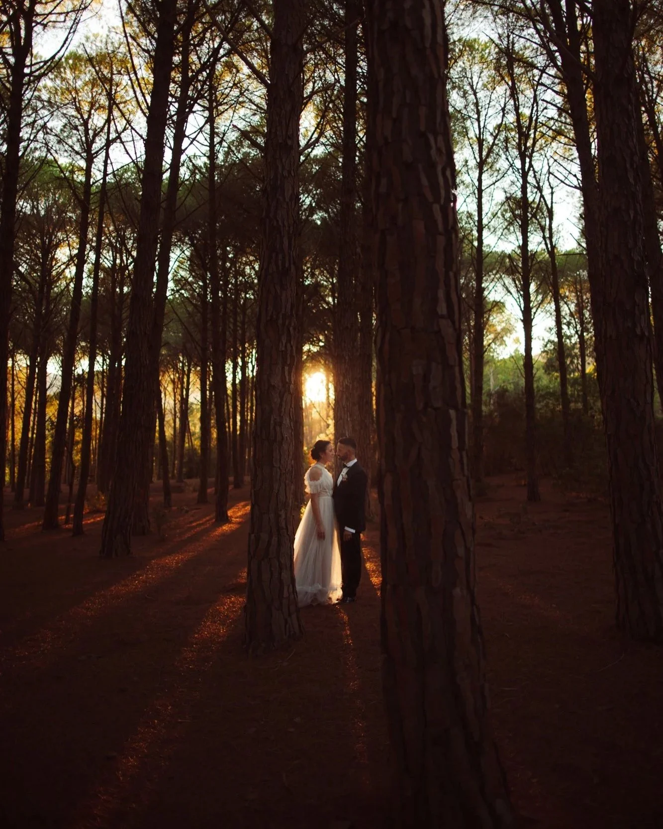 Una coppia di sposi si bacia in una foresta durante il tramonto.