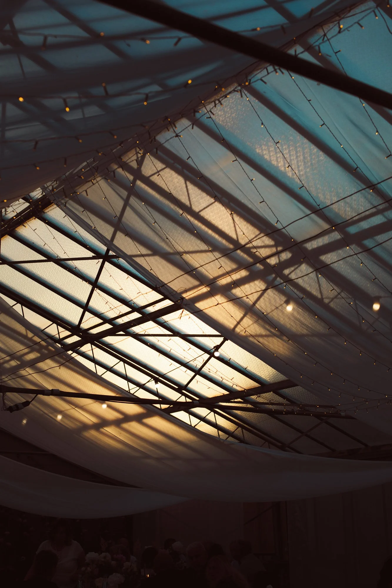 Soffitto in vetro della serra decorato con veli bianchi drappeggiati e catene di luci accese al tramonto