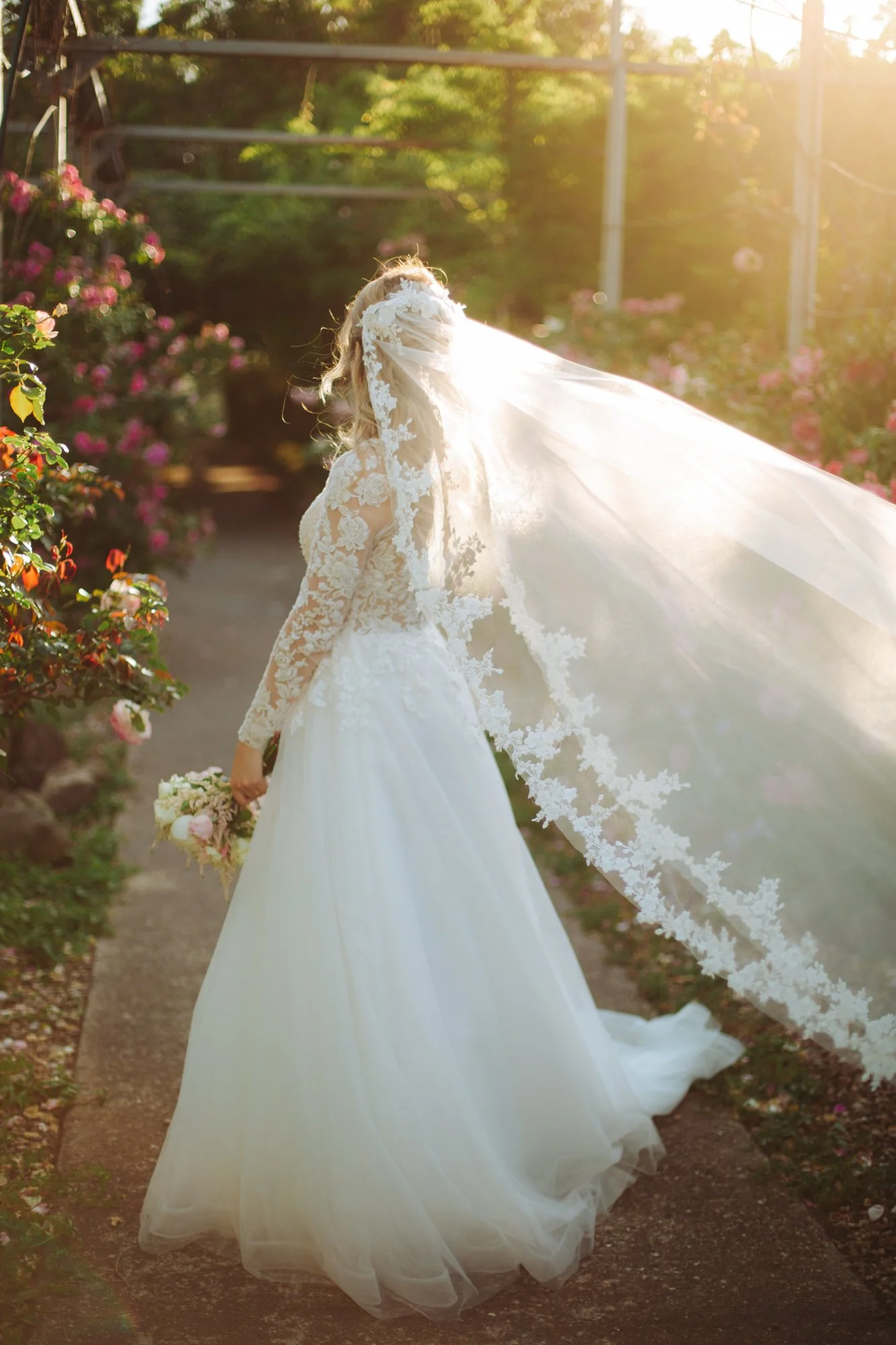 La sposa vista da tergo con abito in pizzo e velo ricamato che vola lungo il vialetto del roseto