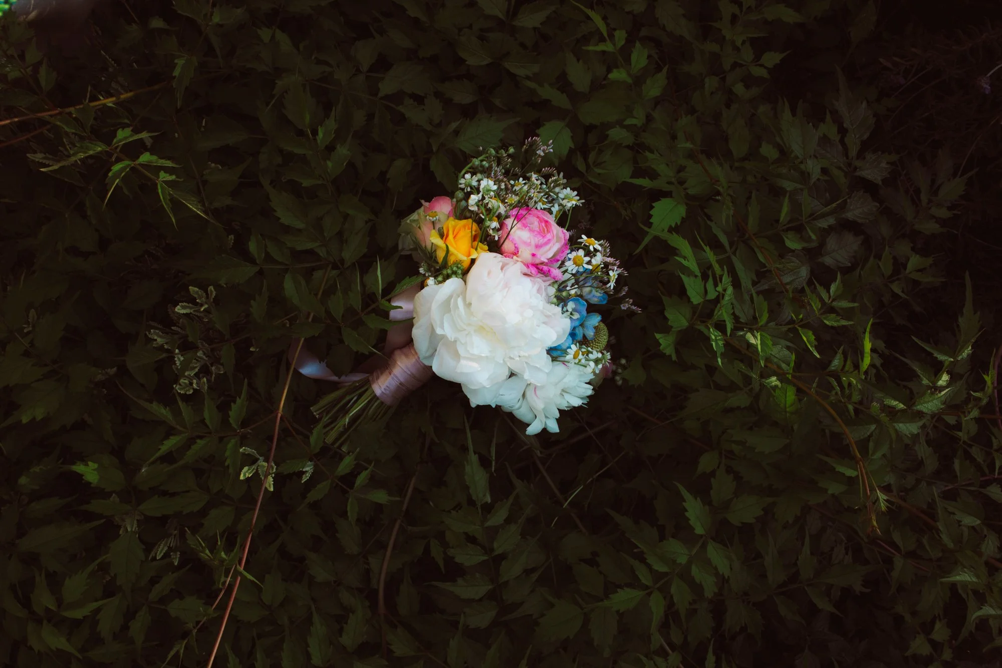 Bouquet da sposa con peonia bianca, rose rosa e gialle appoggiato su un fitto tappeto di foglie verdi