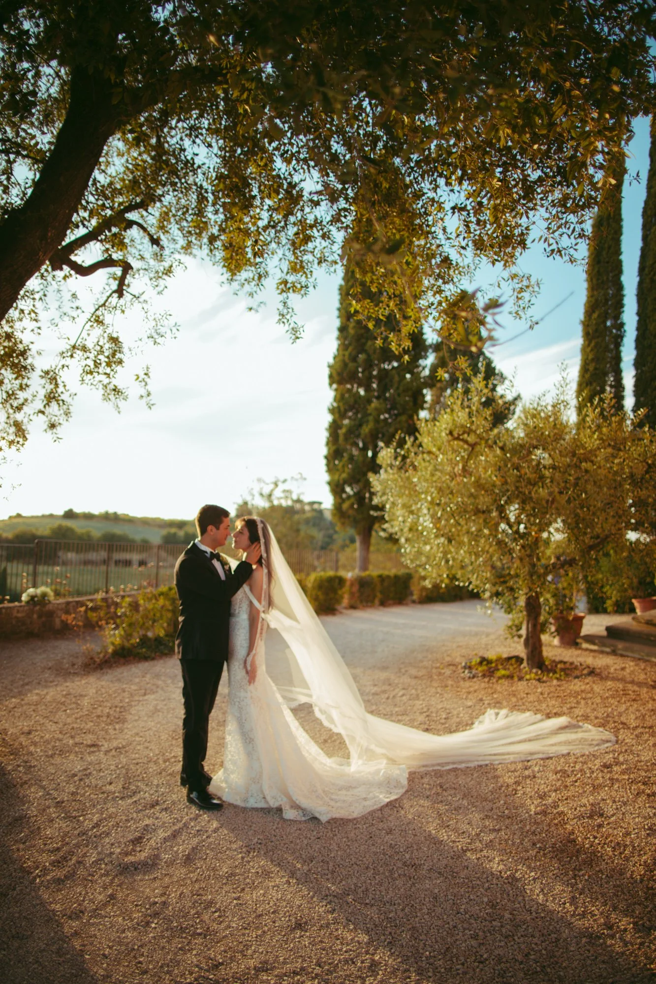Lo sposo accarezza il viso della sposa in un momento di intimità sotto le fronde degli alberi, illuminati dalla calda luce dorata del tramonto
