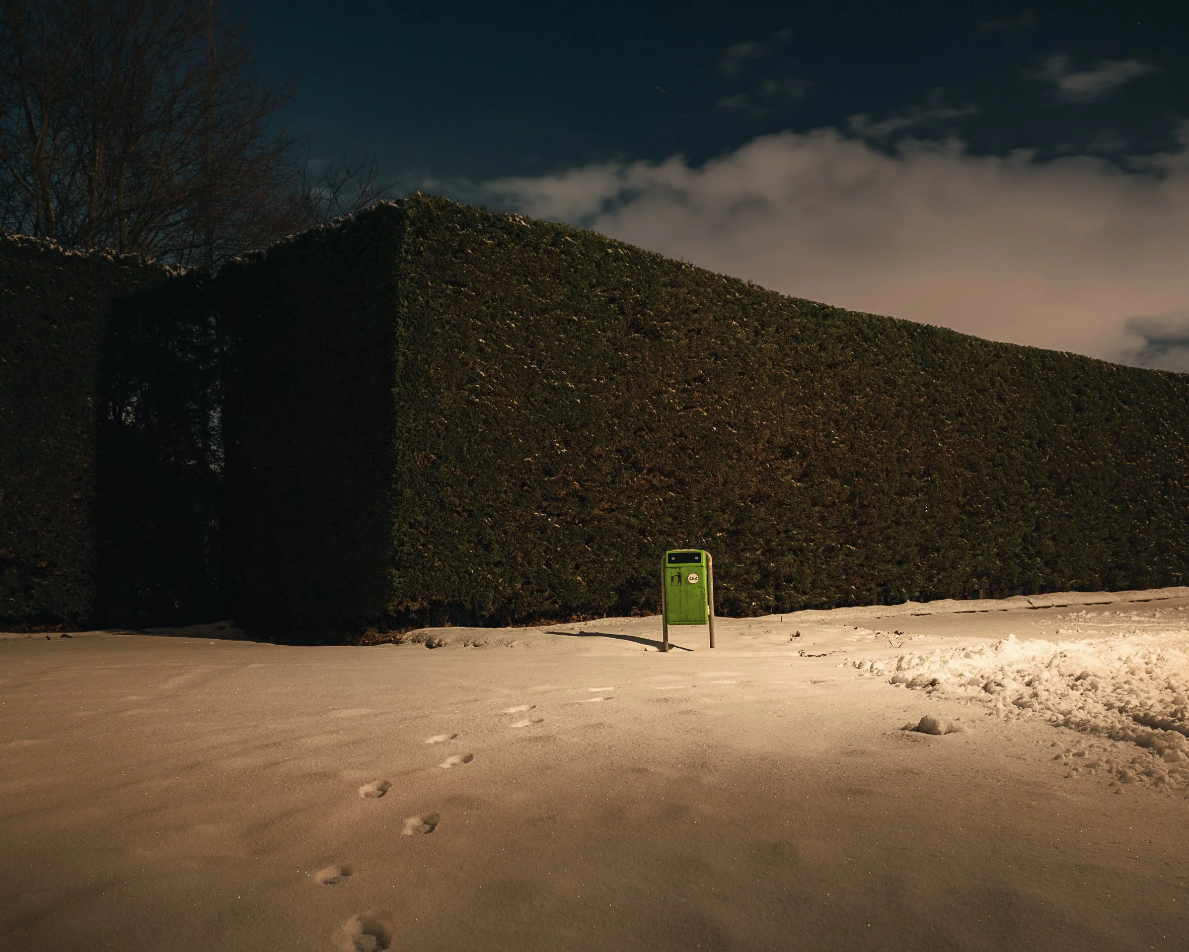 Snow-covered ground with small animal footprints leading towards a green signpost, large hedge, and trees in the background under cloudy night sky.