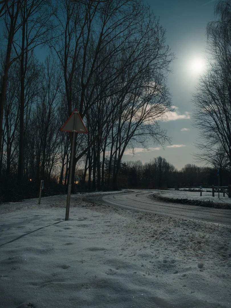 Snow-covered road curved through a wooded area with bare trees under a moonlit sky.