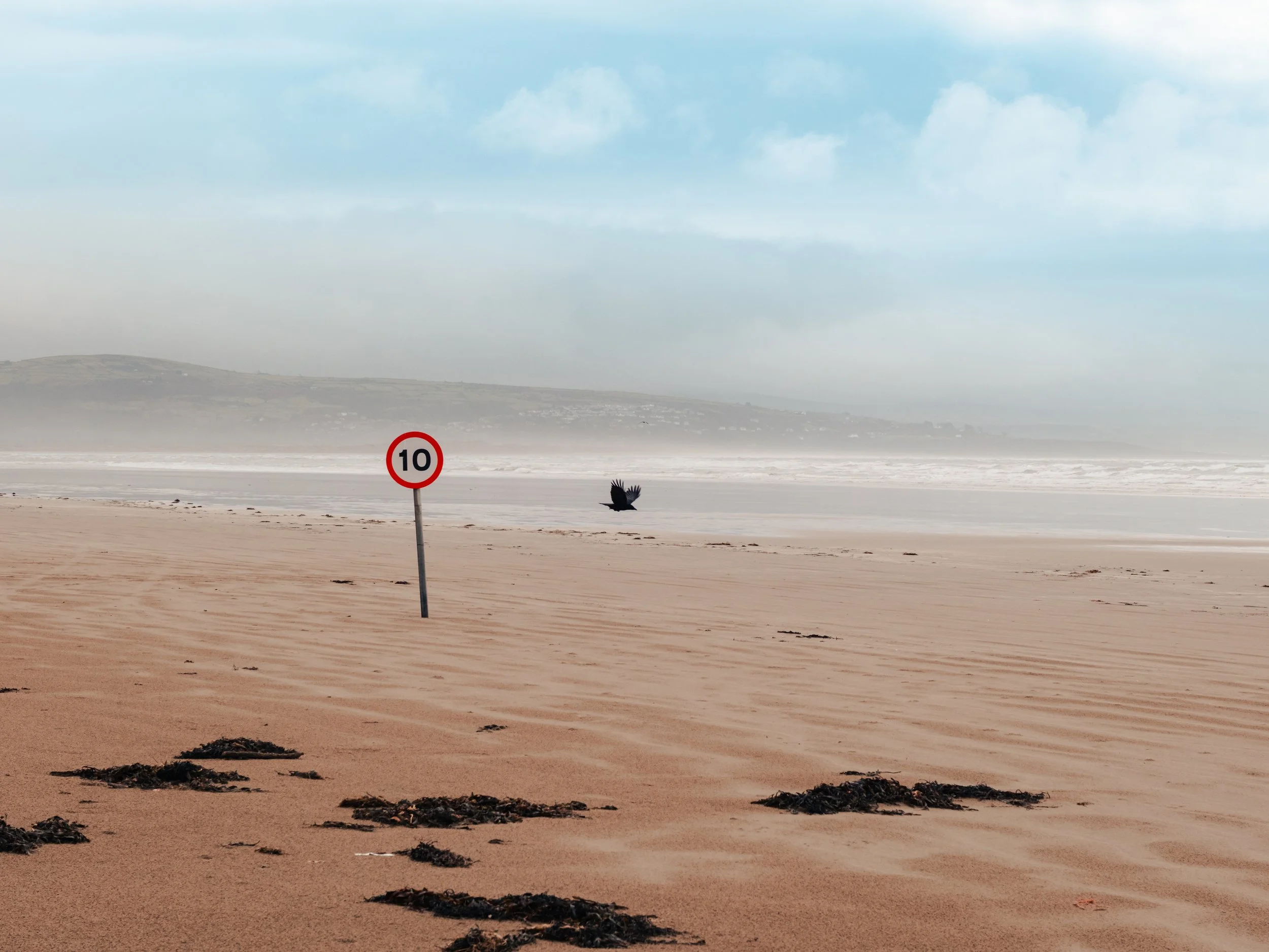 A sandy beach with seaweed scattered along the shore, a speed limit sign pole with the number 10, a bird flying low over the sand, and in the background, a body of water with mist and distant hills under a cloudy sky.