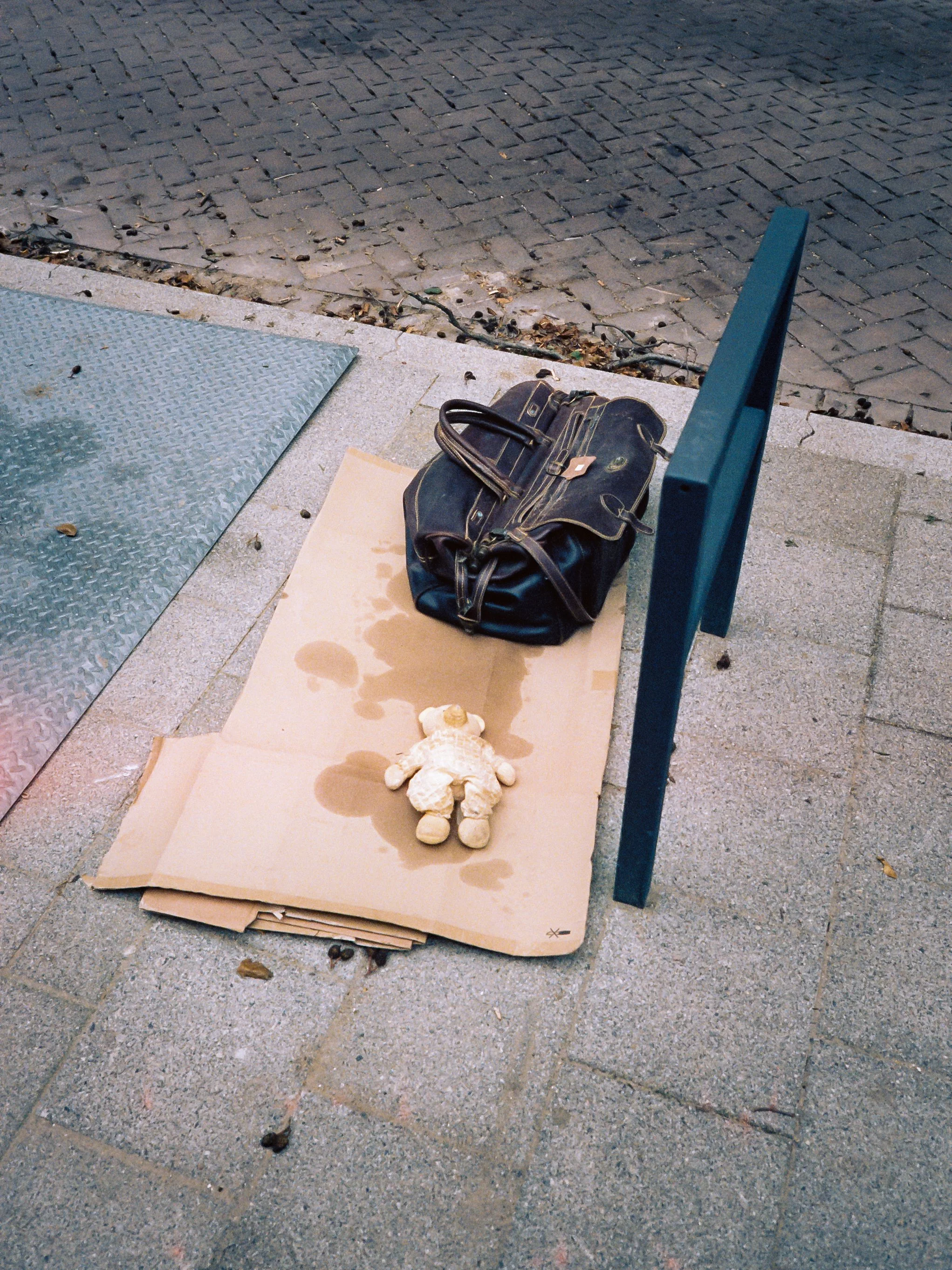 A stuffed animal dog lying on a piece of cardboard on a sidewalk near a blue park bench, with a black bag and fallen leaves nearby.