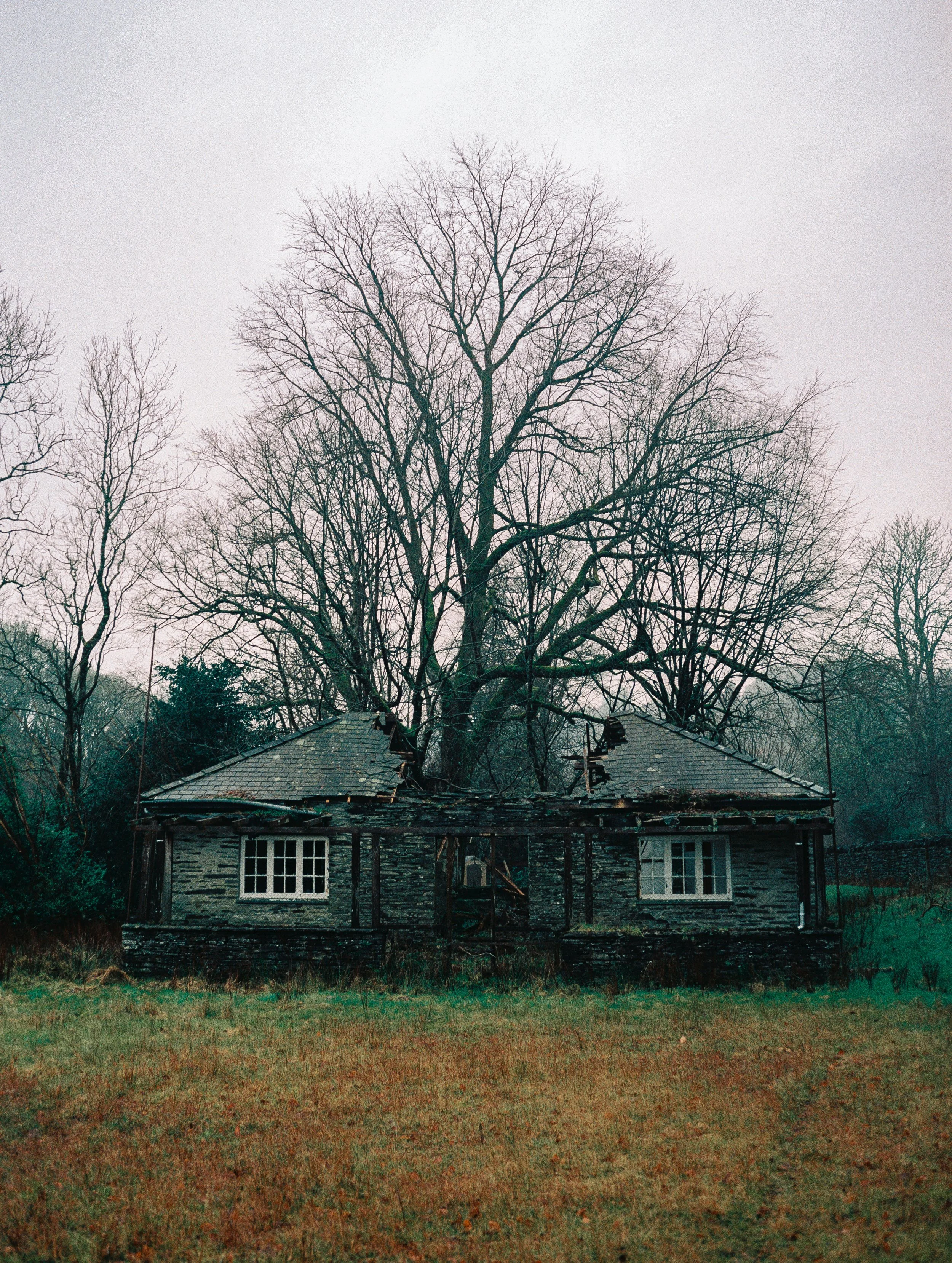An old, dilapidated house with a damaged roof, surrounded by leafless trees on a cloudy day.