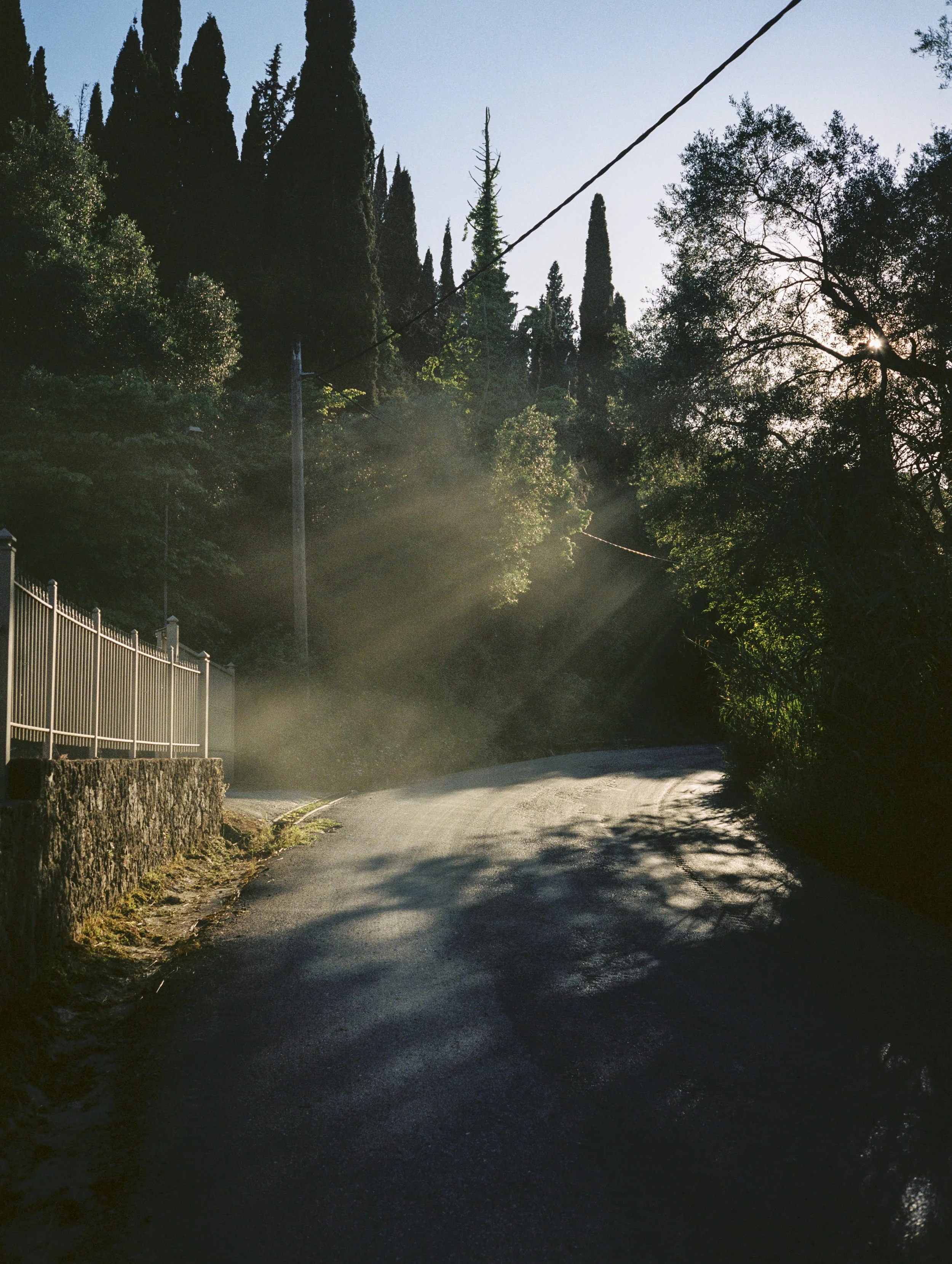 A winding residential street with a fence on the left and trees on both sides, illuminated by low sunlight with shadows and mist in the air.