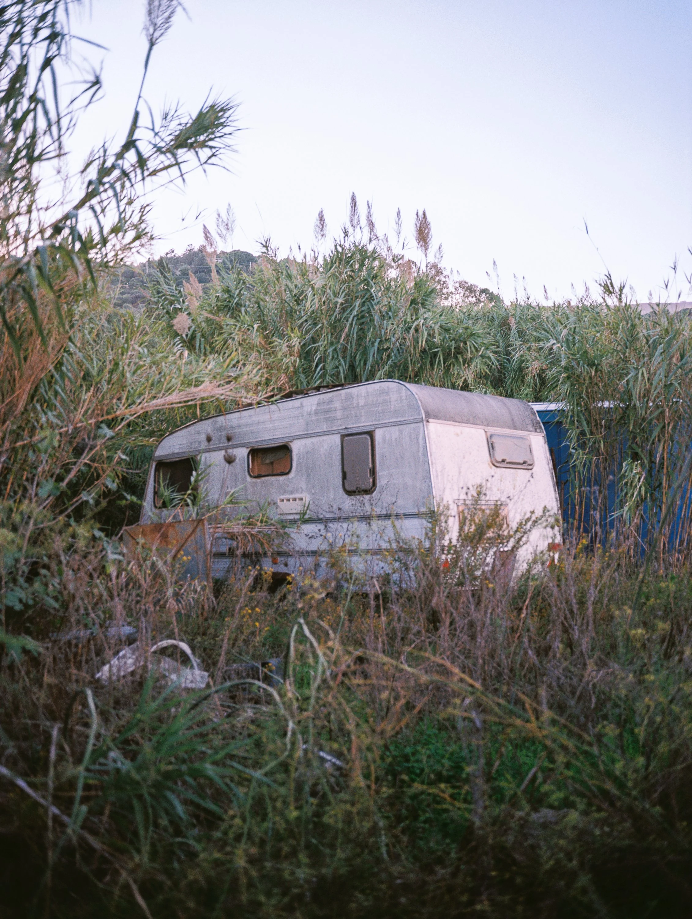 An old, weathered camper trailer hidden among tall grass and dense foliage in an outdoor setting, with a clear sky overhead.