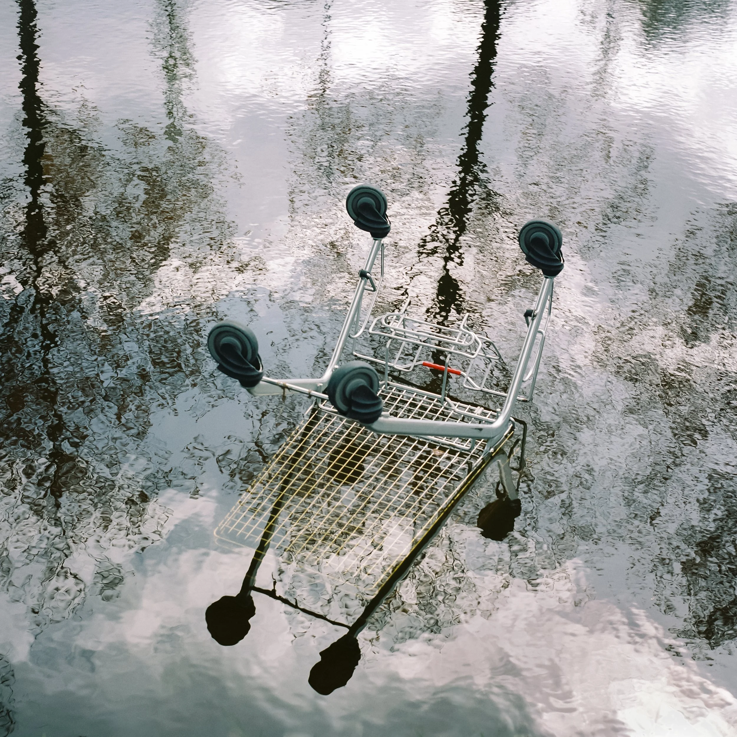 Reflections of trees and a cloudy sky on a body of water with a partially submerged shopping cart in the foreground.