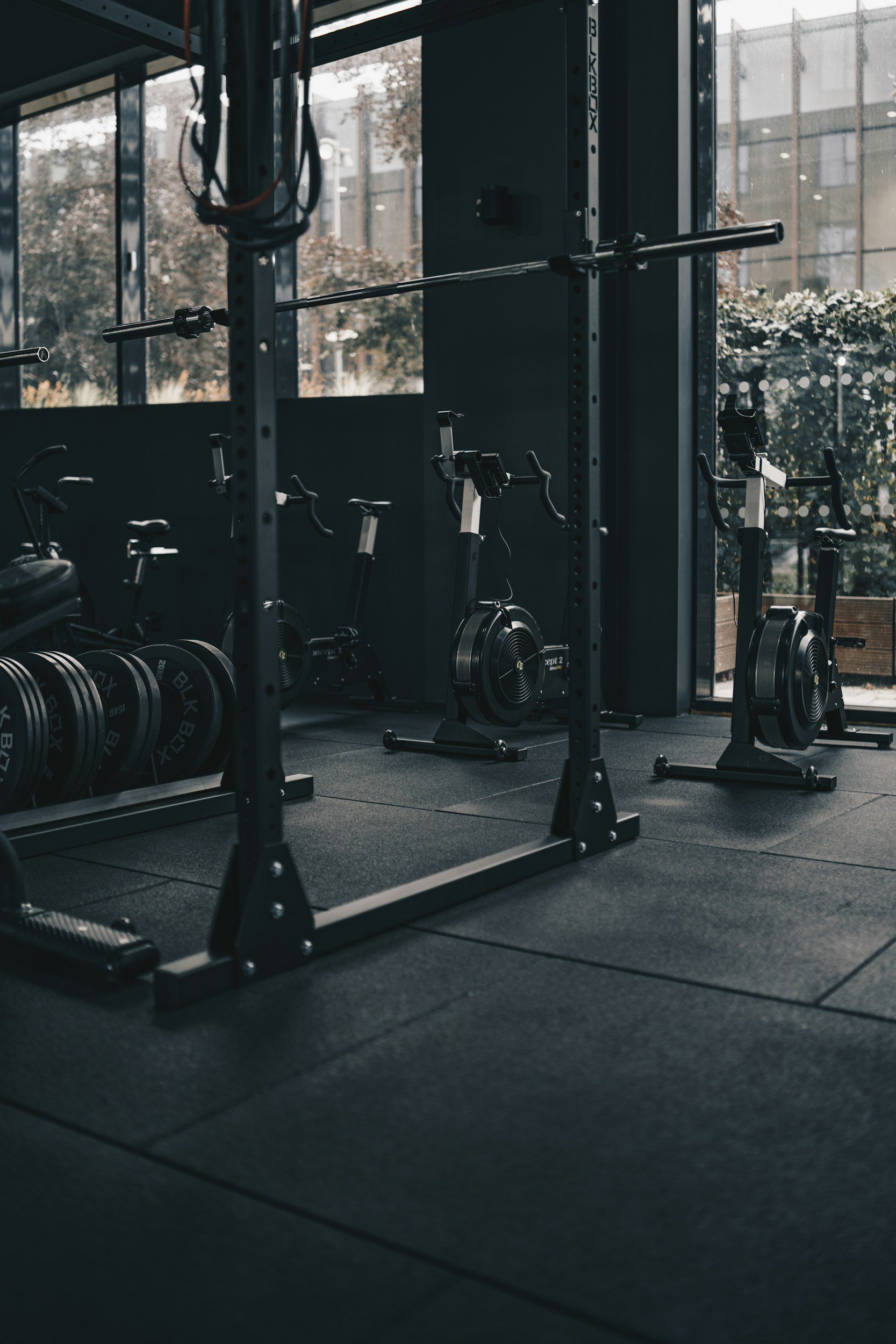 Interior of a modern gym with exercise bikes, weight plates, and a squat rack, illuminated by natural light from large windows with a view of trees and buildings outside.