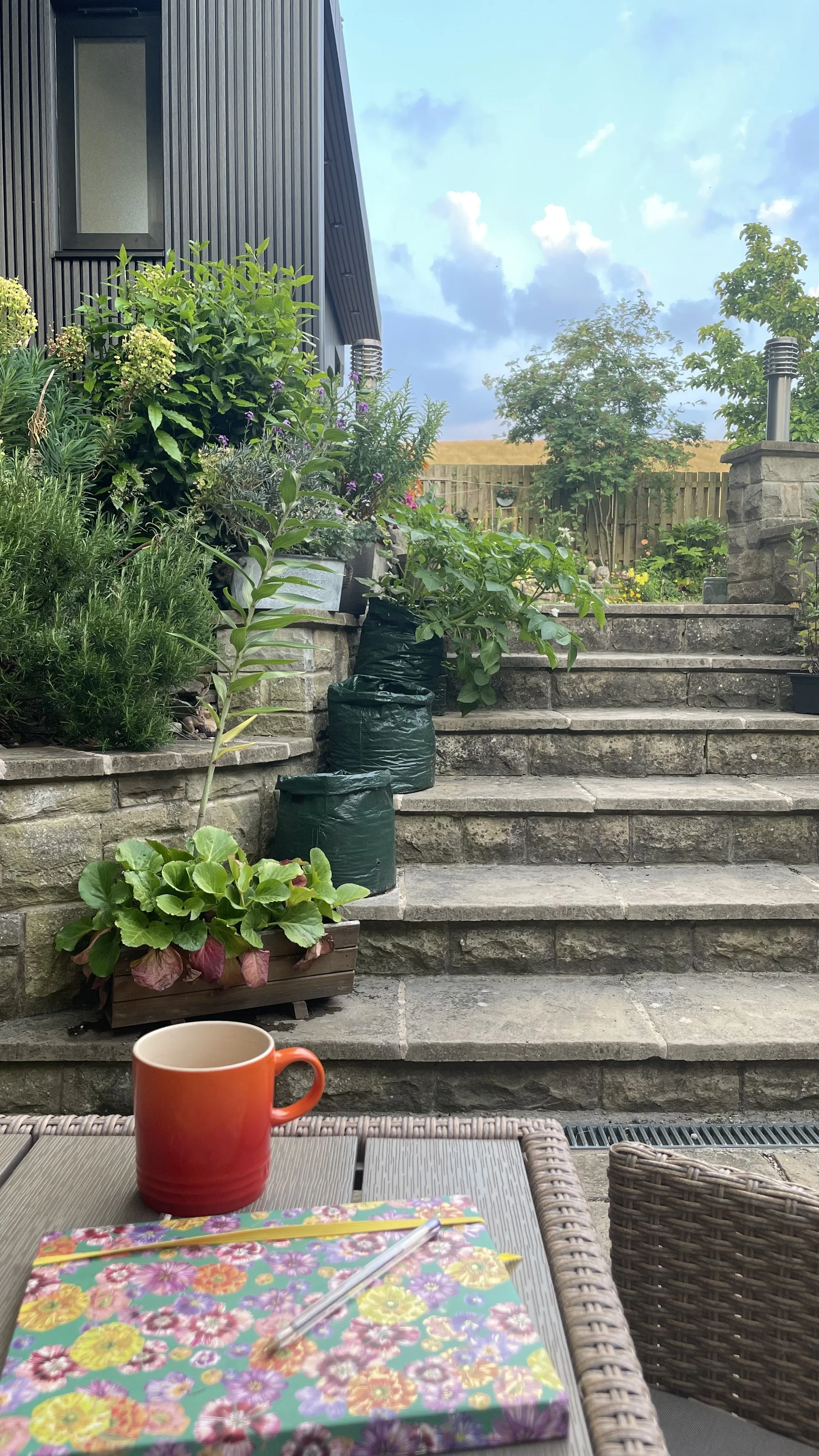 A garden patio with stone steps, potted plants, a black building with vertical siding, a wooden fence, a tree, and a cloudy sky. On the table, there is a red mug, floral wrapping paper, and a notebook with a pen.