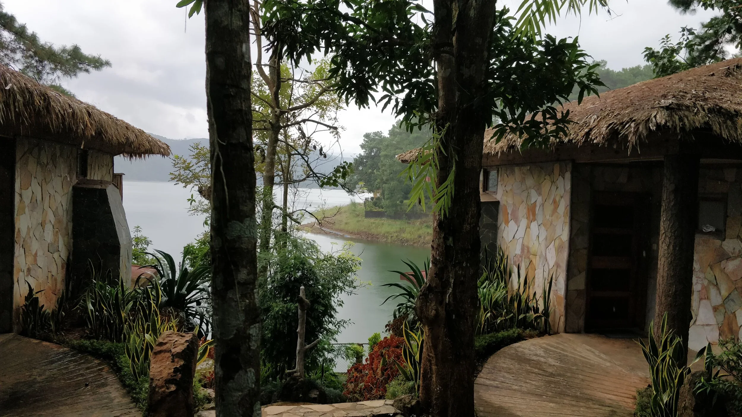 Lave View Rooms