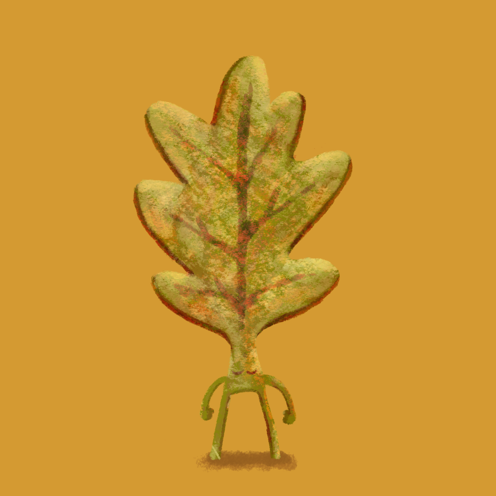 Leaf drawing copy.png