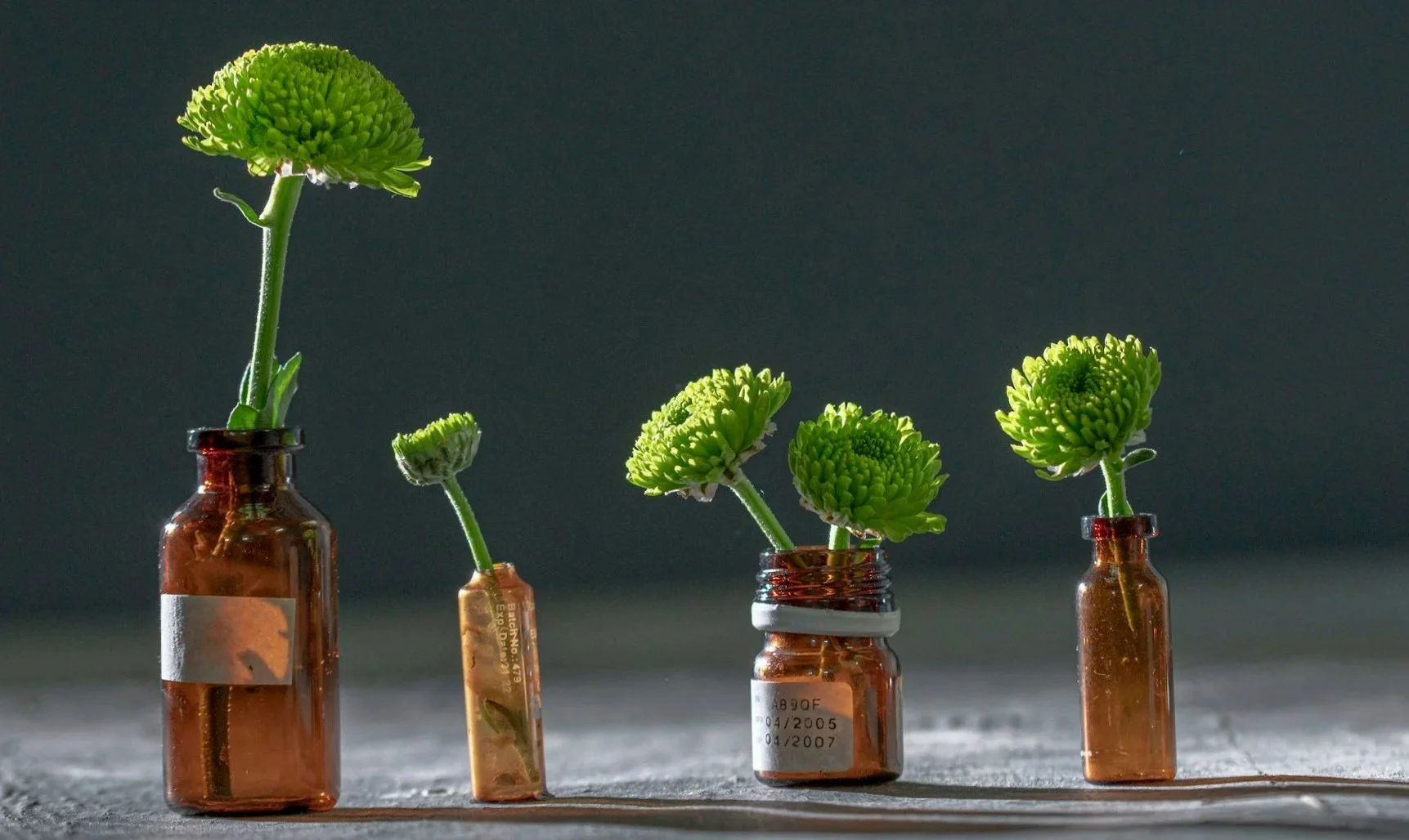 Four small glass vials with green flowers arranged inside, placed in a row on a flat surface with a dark background.