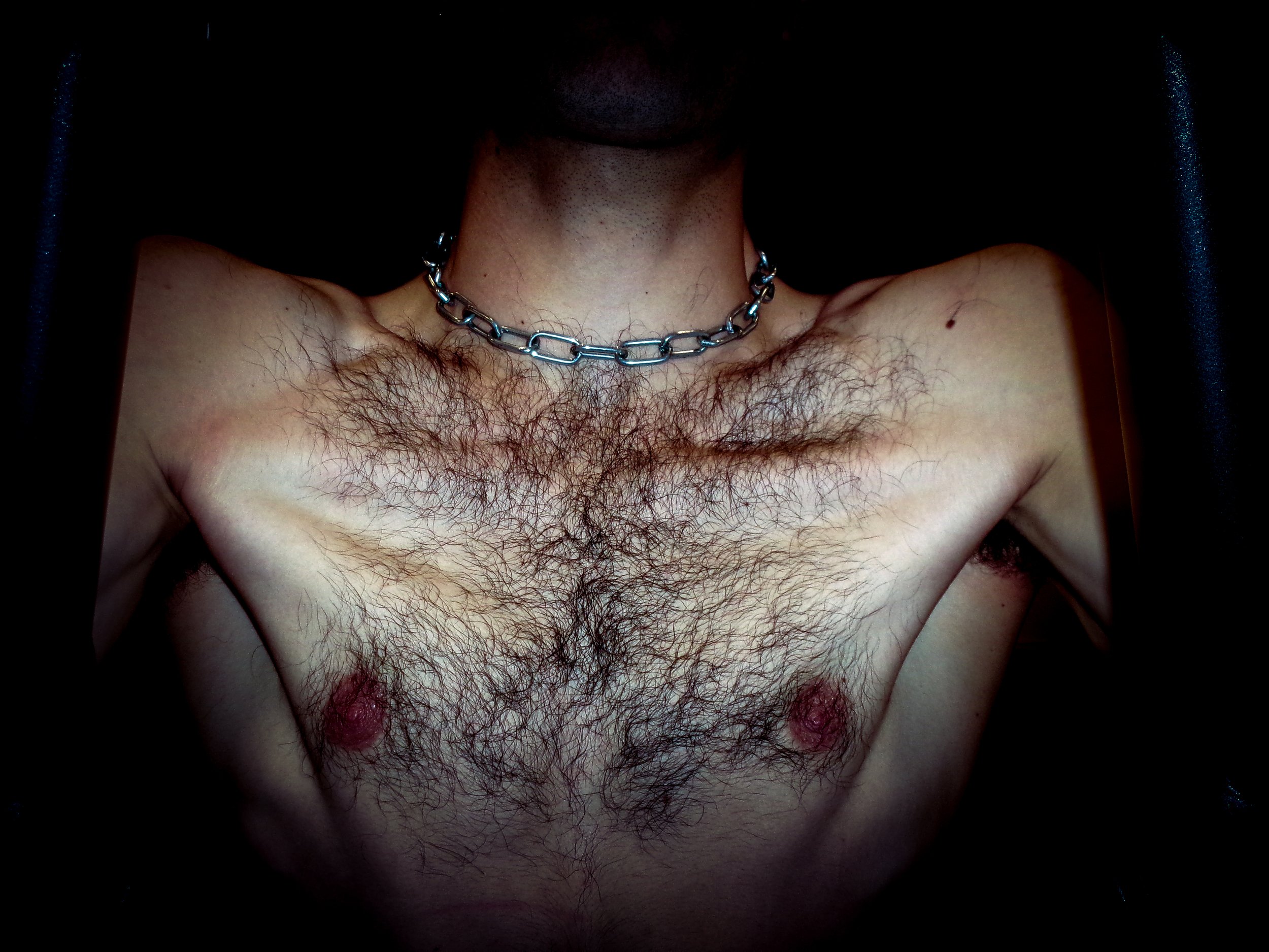 self portrait