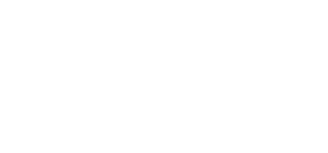 CHEF ARI DIOP