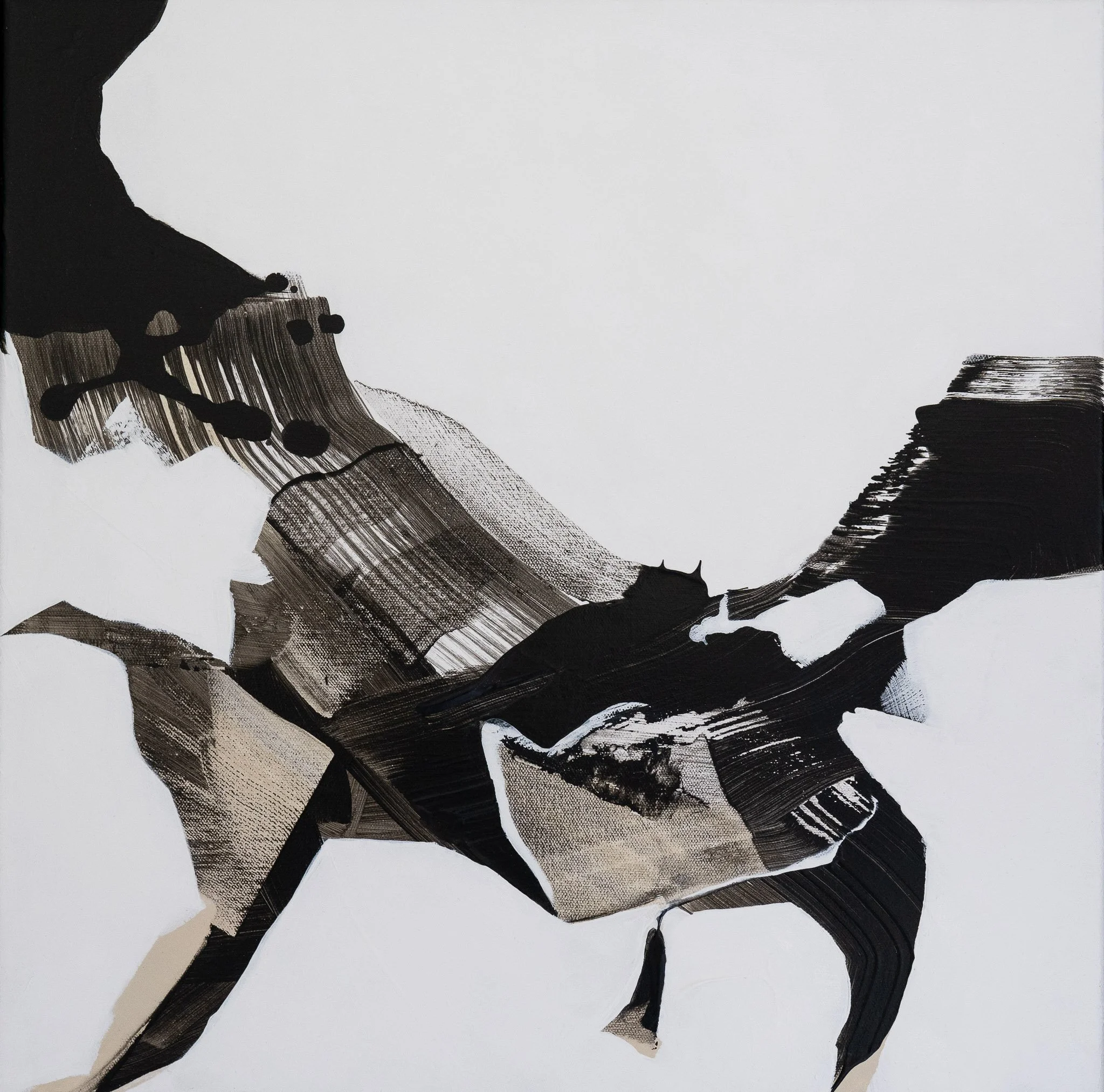 The Raven 20 x 20"