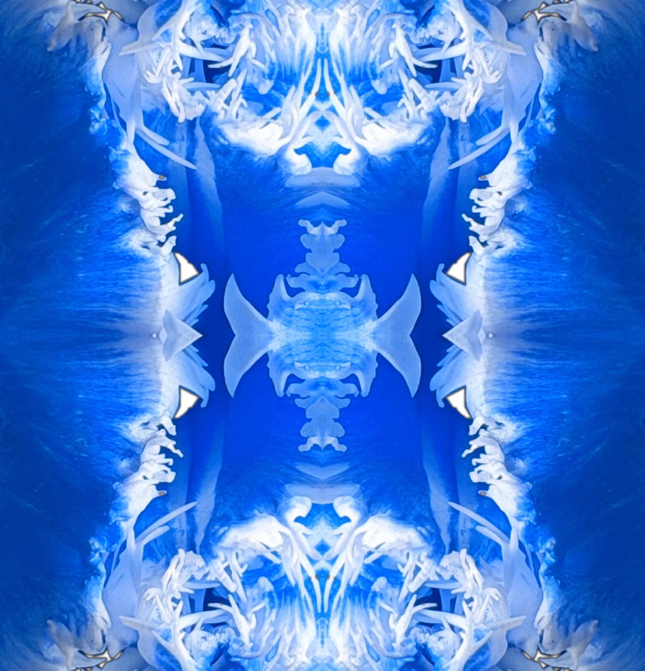 9A12805E-91A4-457F-9C17-860F866B8919.JPEG