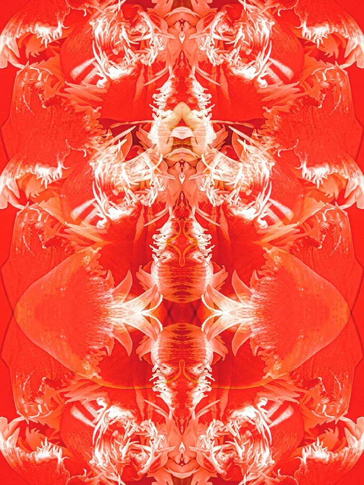 Between land and sea , metaphysical tulip copy.jpg