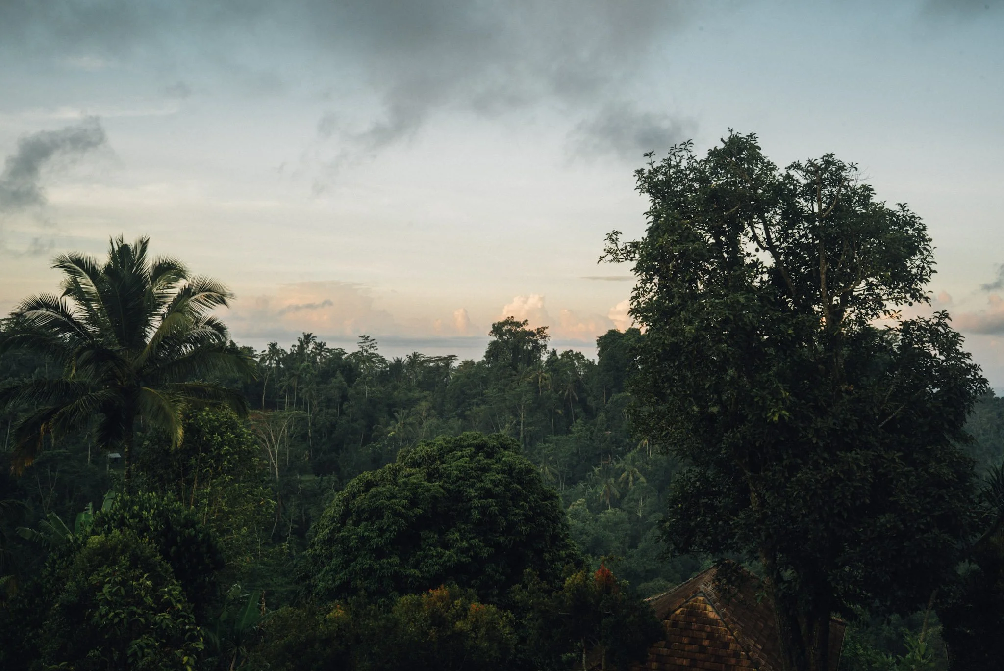 Bali Yoga Retreat Private Deluxe Villa September 2027