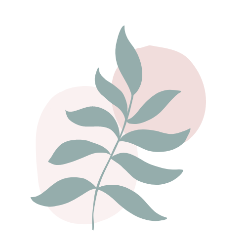 Minimalist illustration of a single branch with green leaves in front of abstract white and light pink shapes.