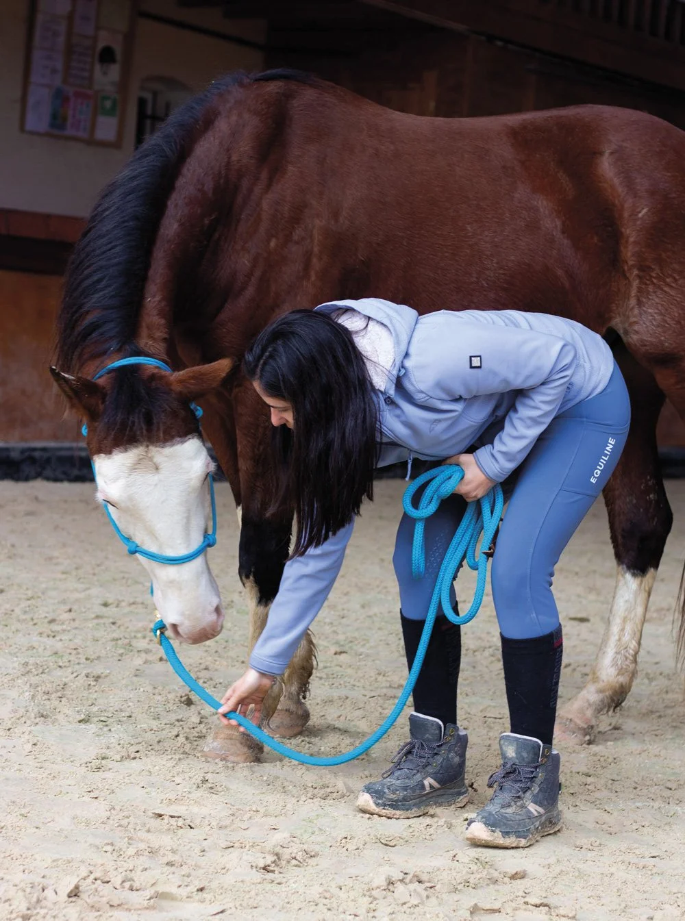 Ari Kairos practicando etología equina, ajustando la cuerda de un caballo de color marrón con manchas blancas en la cara, en un corral cubierto.