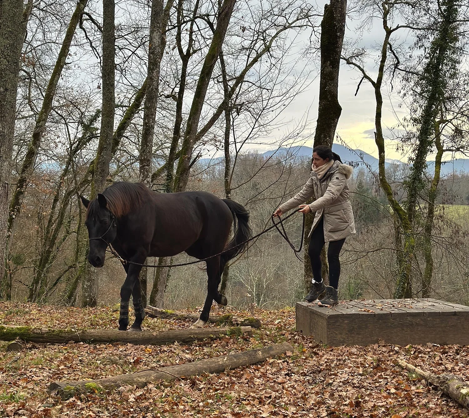 Ari Kairos con abrigo y bufanda sosteniendo las riendas de un caballo negro en un bosque con árboles desnudos y colinas en el fondo, durante un día nublado de otoño en el Mountain Trail de Ari Kairos.