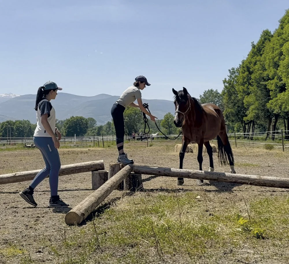 Dos niñas y una mujer practicando el Mountain Trail de Ari Kairos con un caballo en un campo con montañas al fondo.