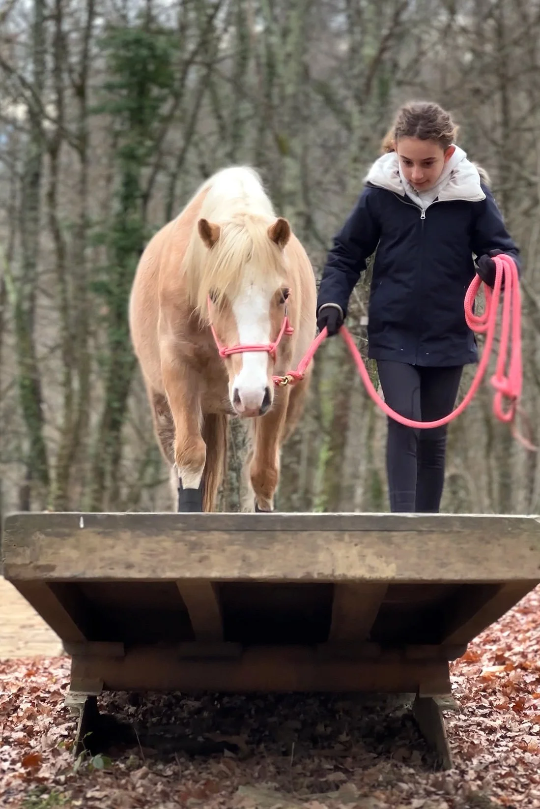 Una niña paseando un pony  en un bosque, ambos caminando sobre una plataforma de madera rodeada de hojas secas en el Mountain Trail de Ari Kairos.
