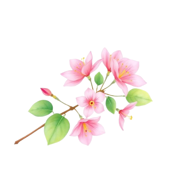 A branch of pink flowers with green leaves on a black background.