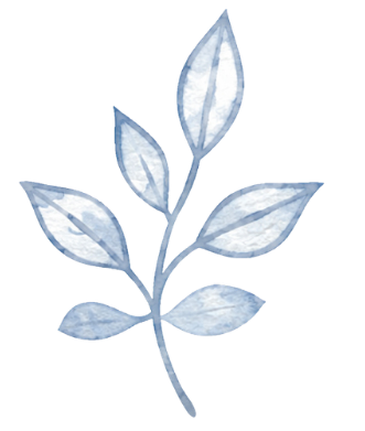 Watercolor illustration of a plant with blue and white leaves.