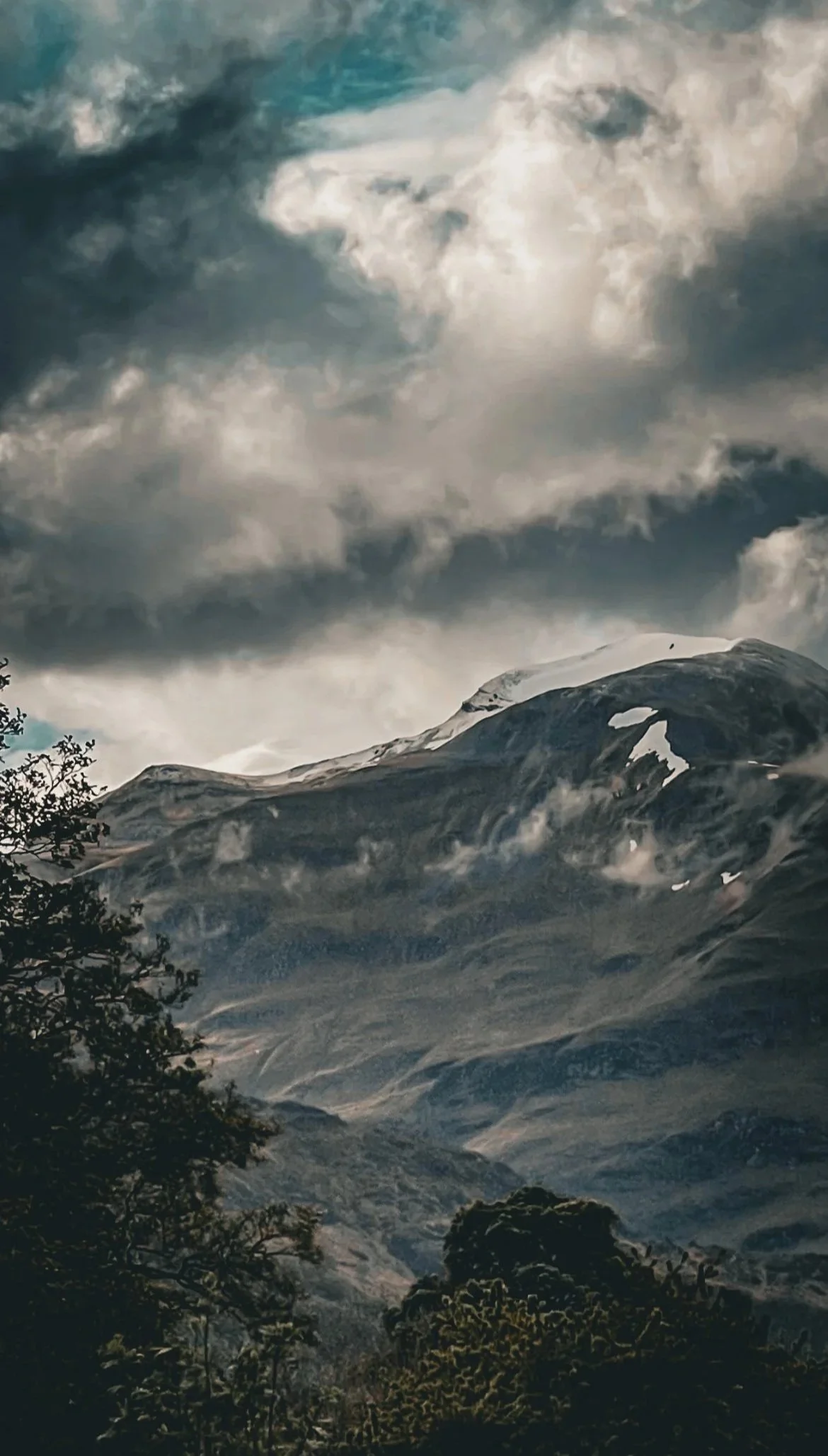 Snow-capped mountain with cloudy sky and trees in the foreground.