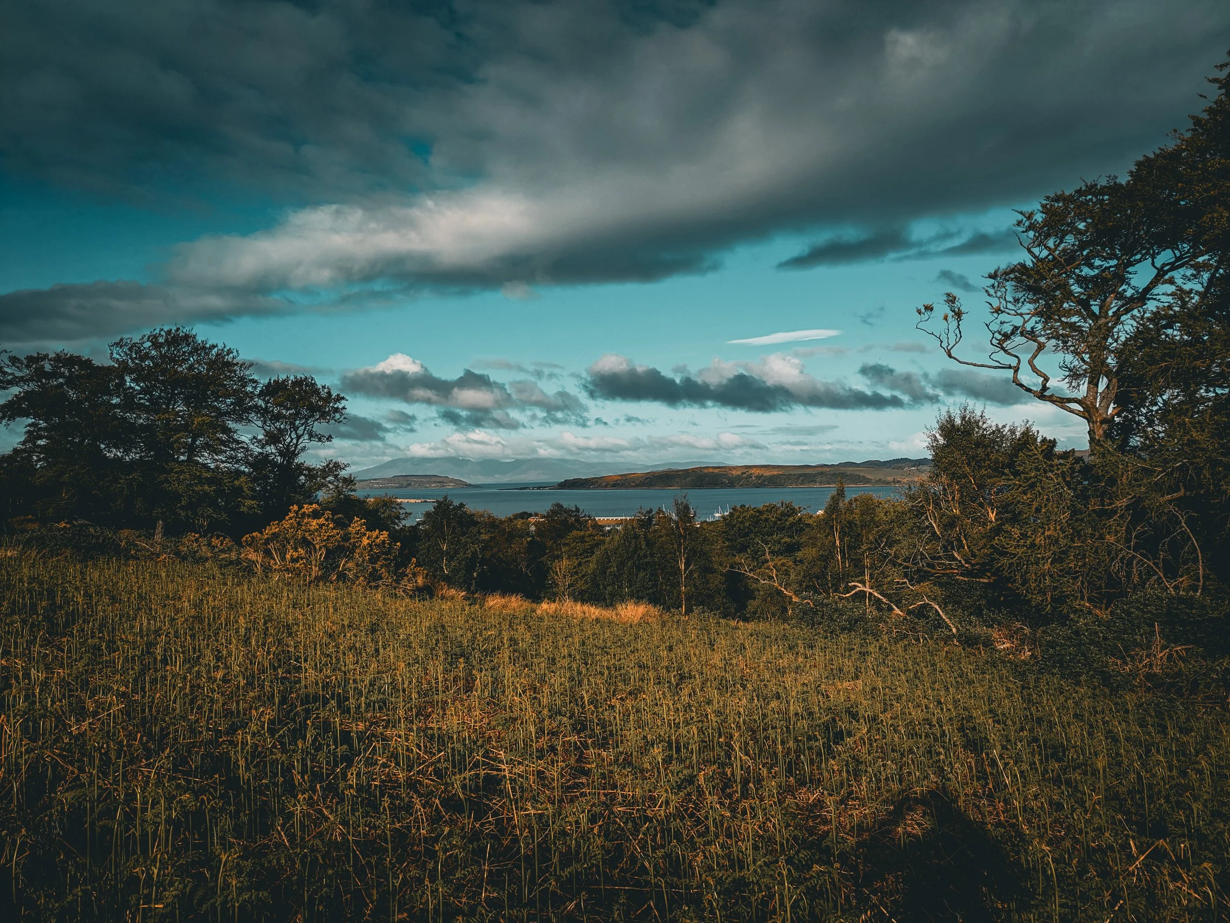 Scenic landscape with grassy foreground, trees on either side, and a body of water with hills in the background under a cloudy sky.