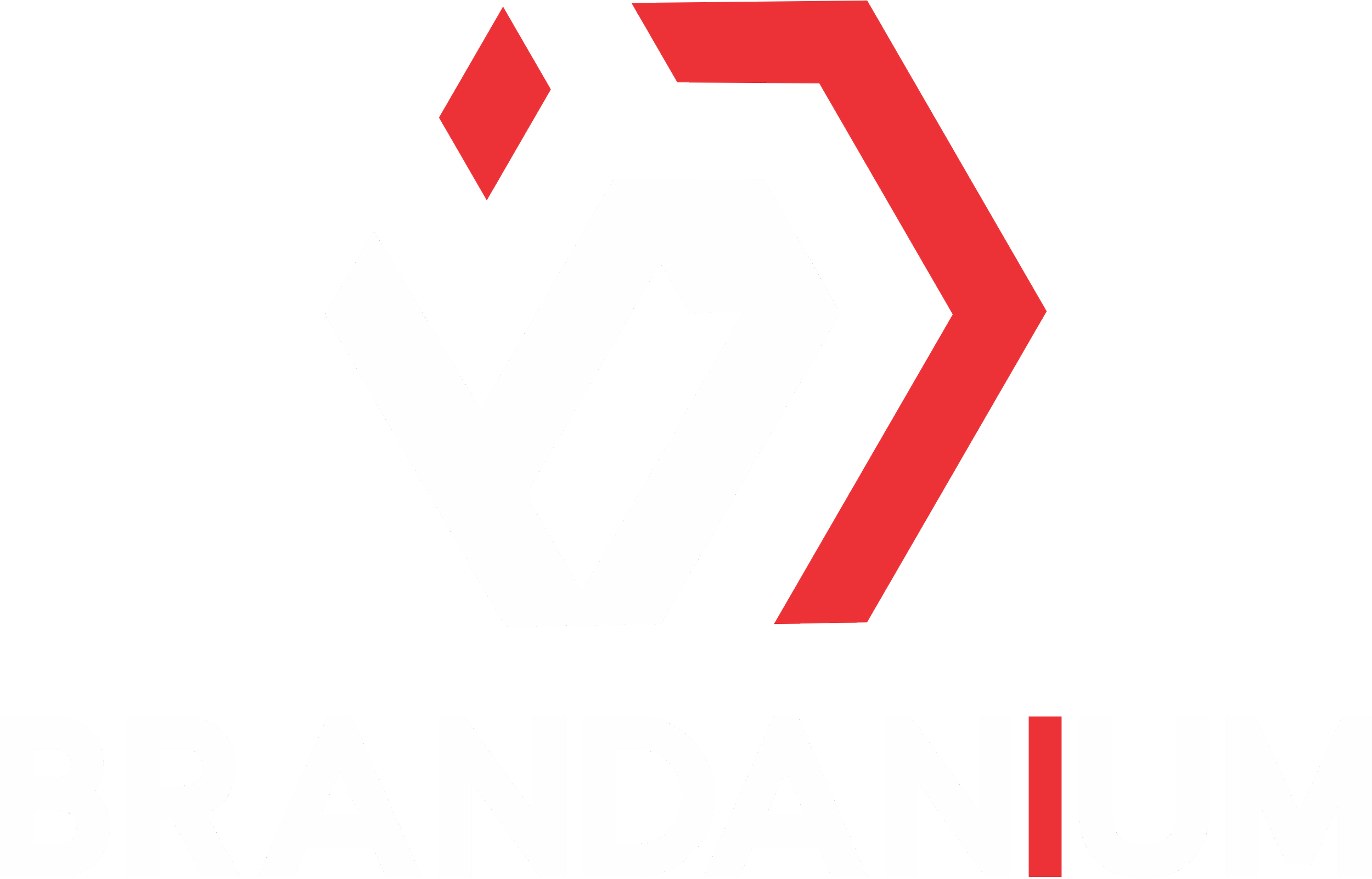 The logo of Braulium, featuring a stylized geometric design with black, red, and white colors, with the company name in bold black and white letters.