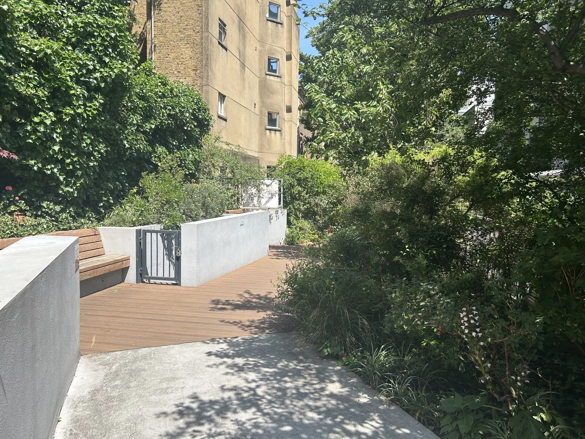 Access from Marchmont Street with anti-slip finish concrete and wooden decking, surrounded by lush green plants and trees. There are white concrete benches, a metal gate. Marchmont Street Community Gardens