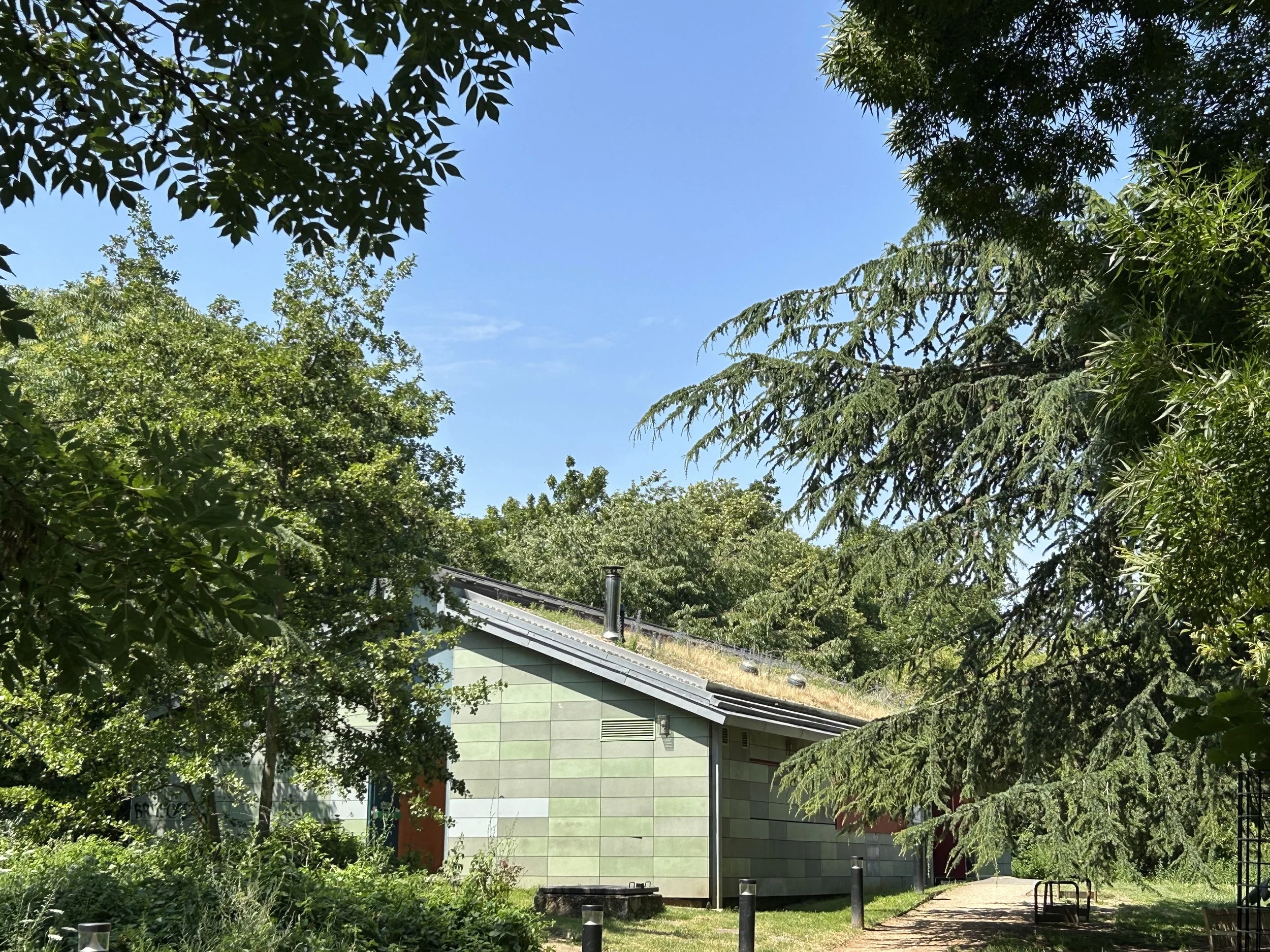 A view of a building with green panels on the exterior, surrounded by lush trees and foliage, under a bright blue sky. Whittington Park Sport Pavilion