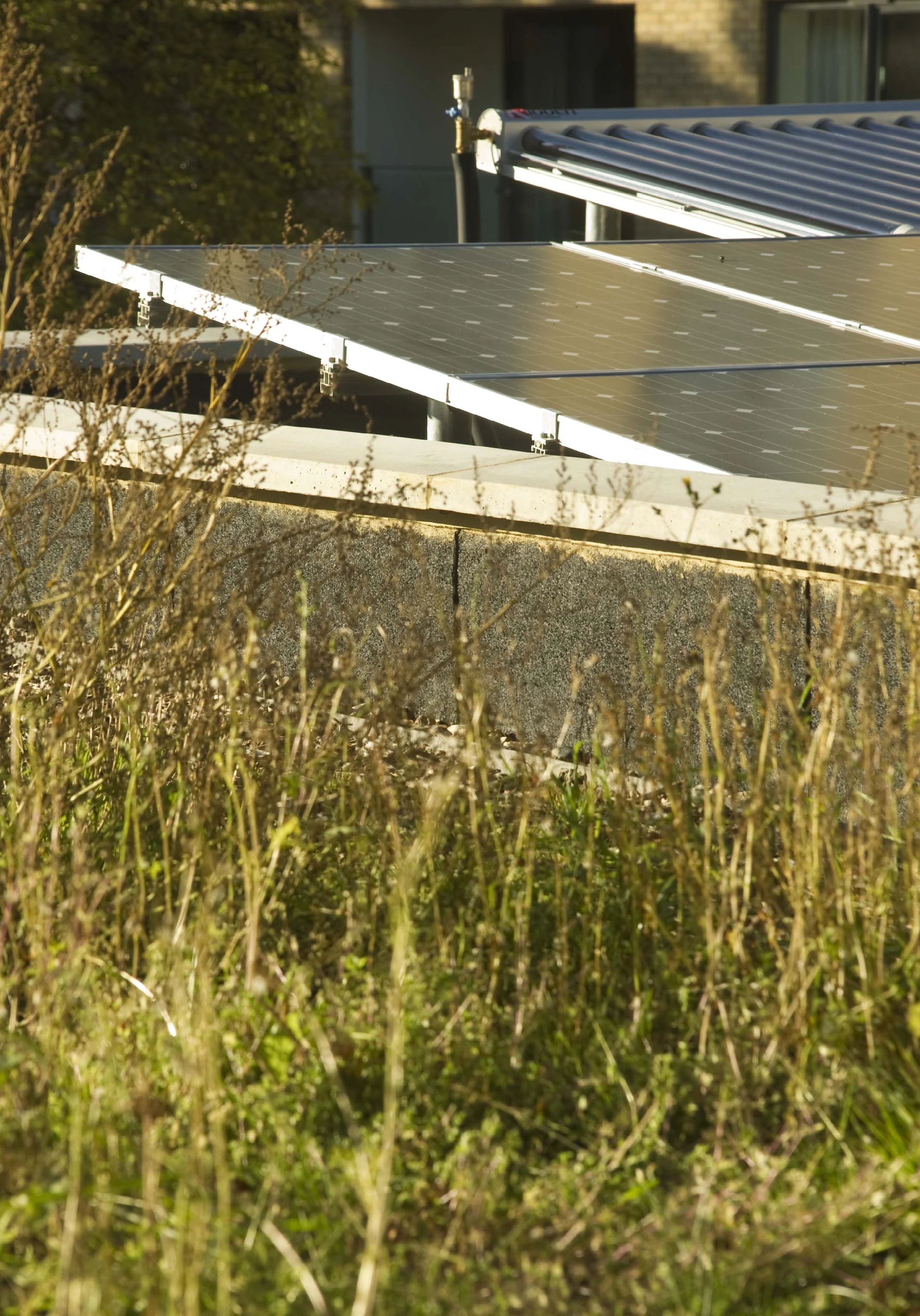 Solar panels installed on a rooftop with some bushes and a building in the background. Sparkplug