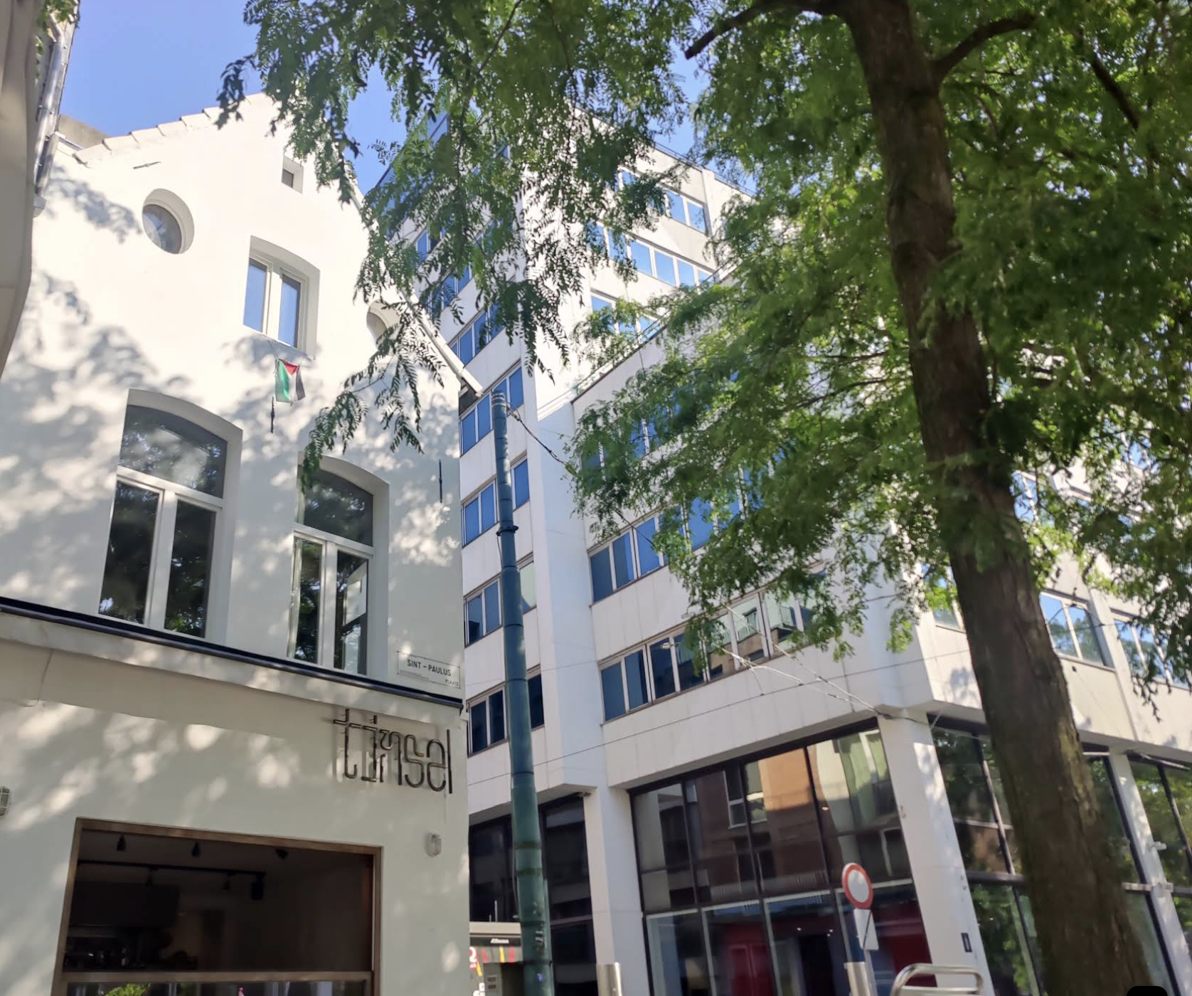 Street view of modern white building with multiple windows, a large tree with green leaves in foreground, and a blue sky in the background.
