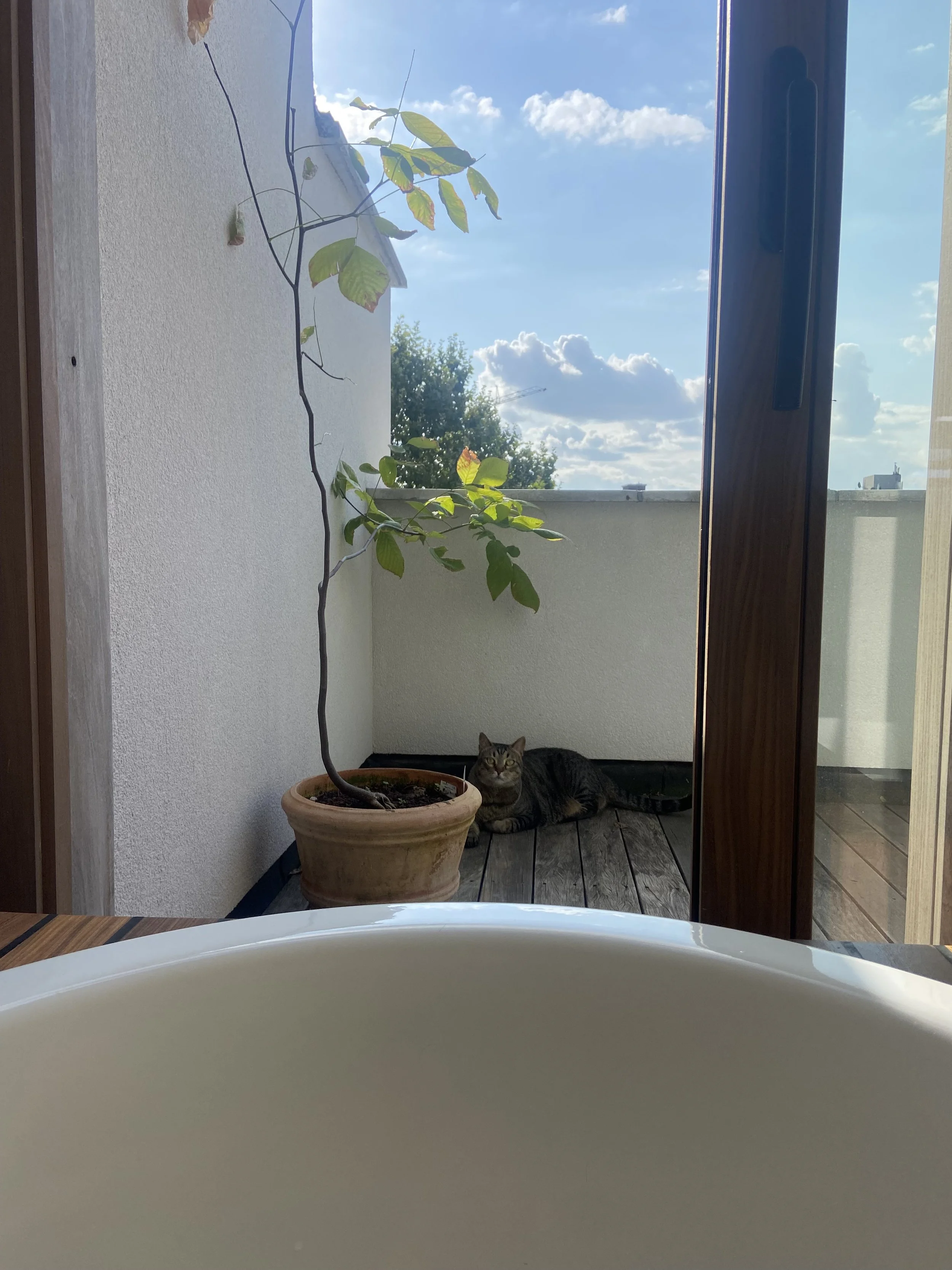 IMG_9319.jpeg
