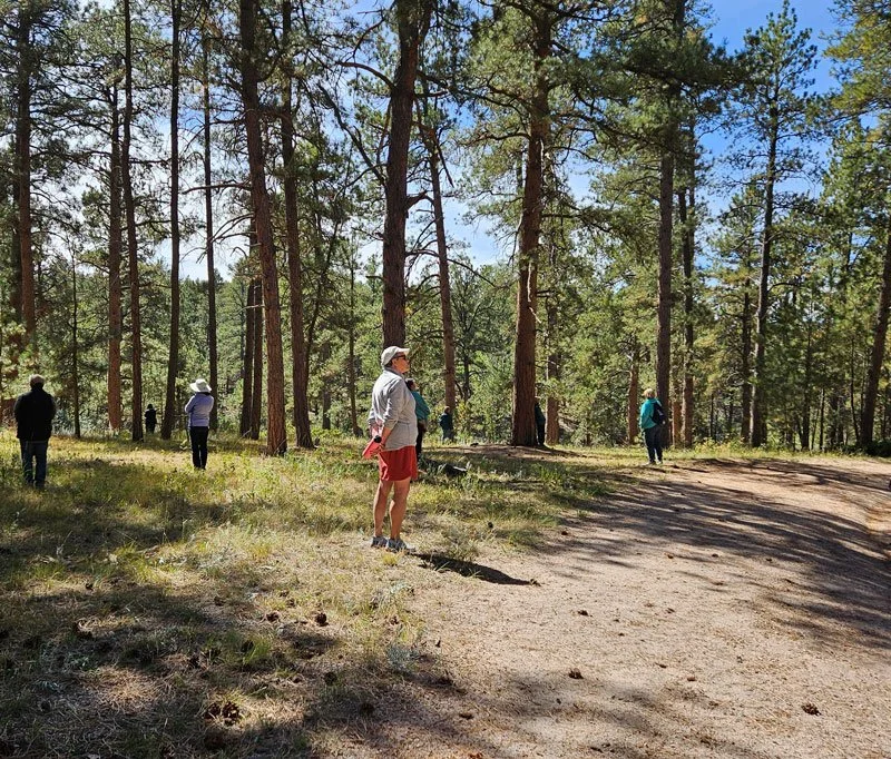 Forest bathing walk La Foret Colorado