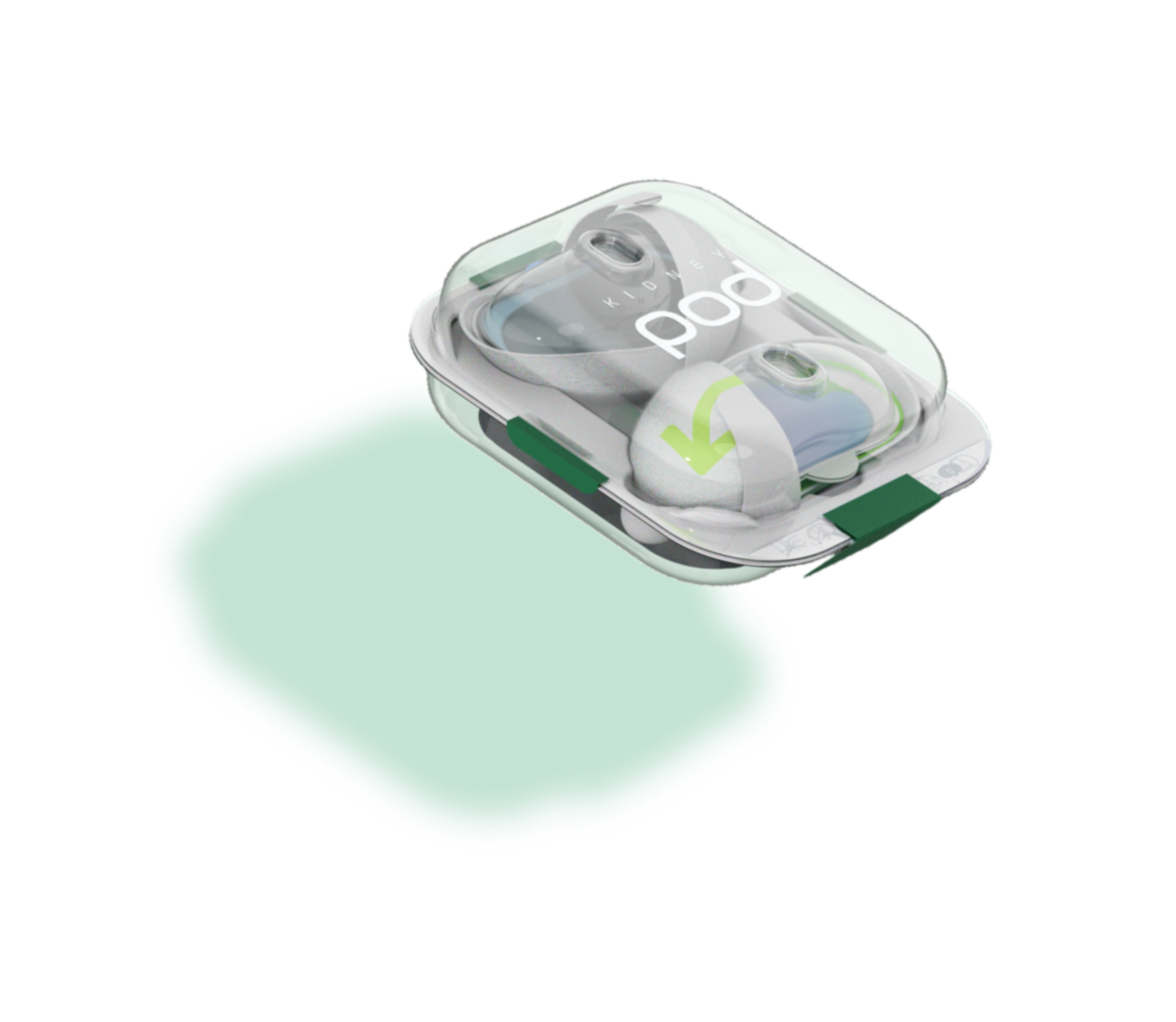 SHELL_inside.445 5.png