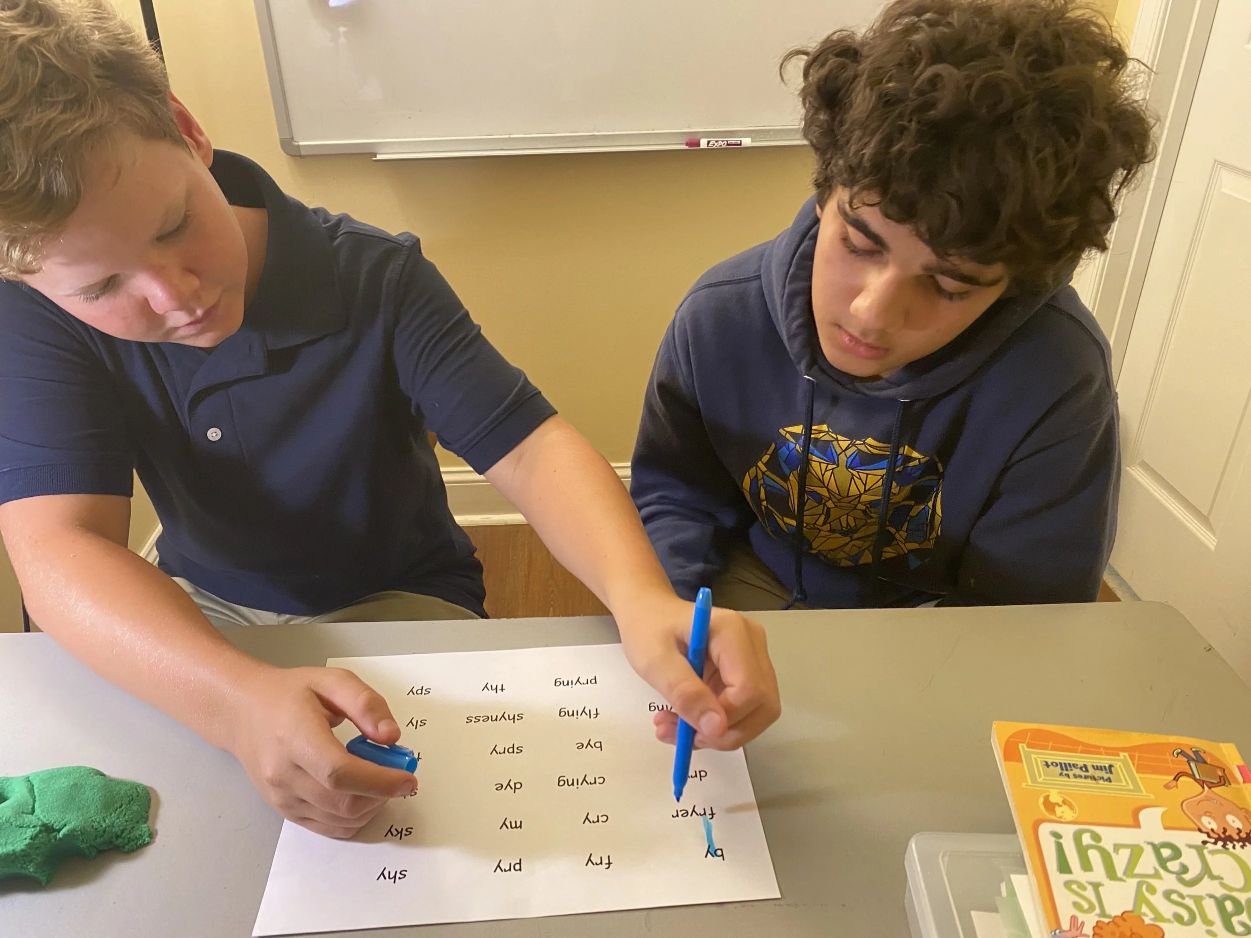 Understanding Dyslexia