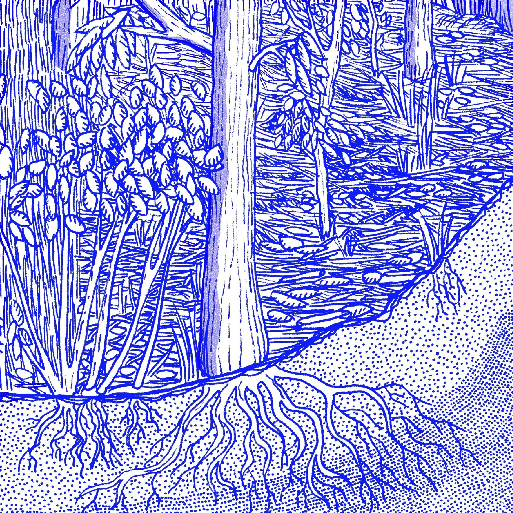 Inktopies 13x13cm-33.jpg