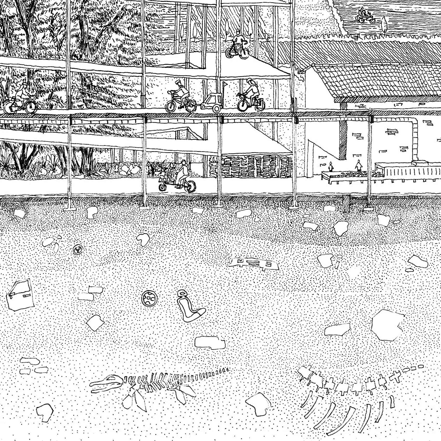 another cycle of life zoom 6.jpg