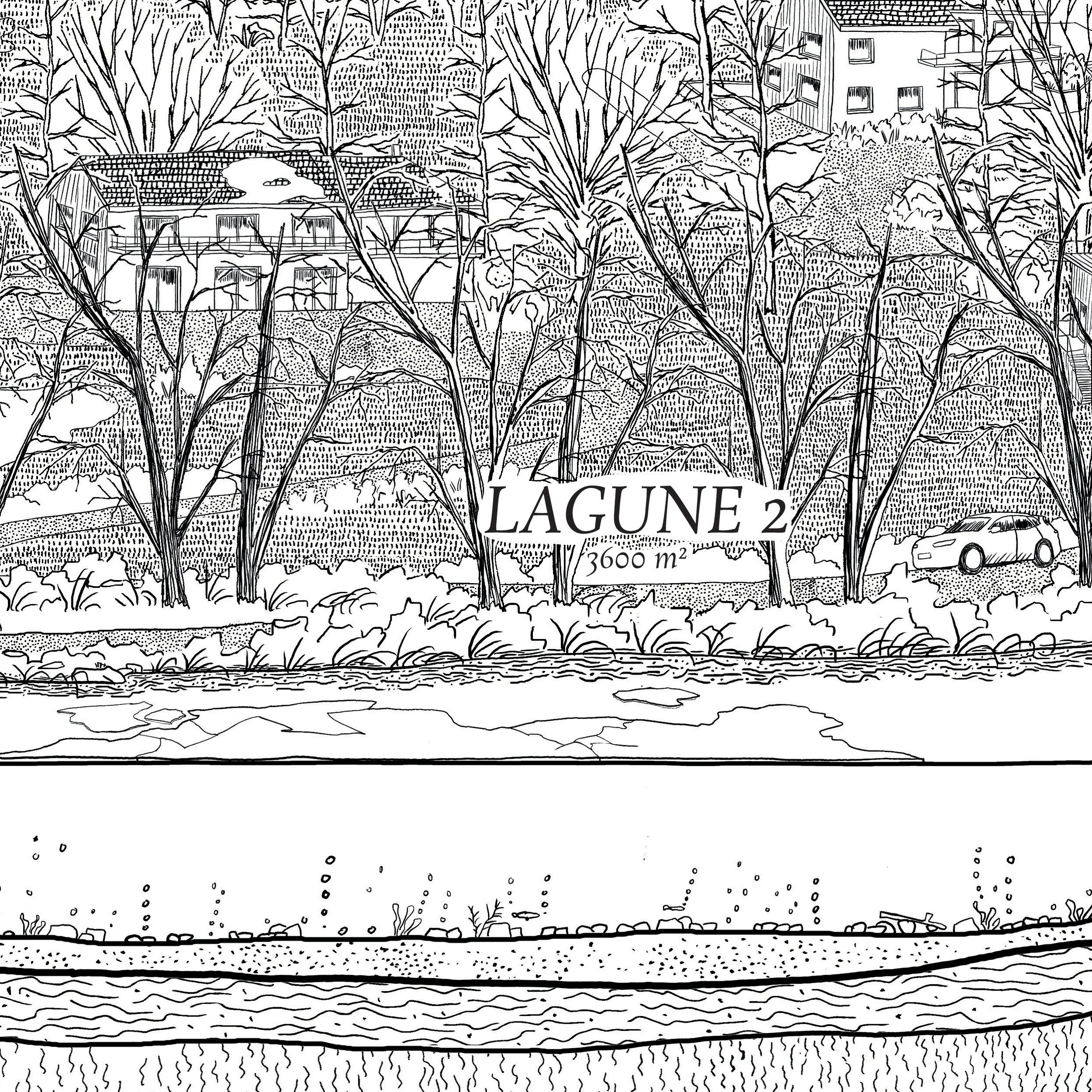 iltp_VOYAGE AUX REGIONS DU DELTA extrait2.jpg