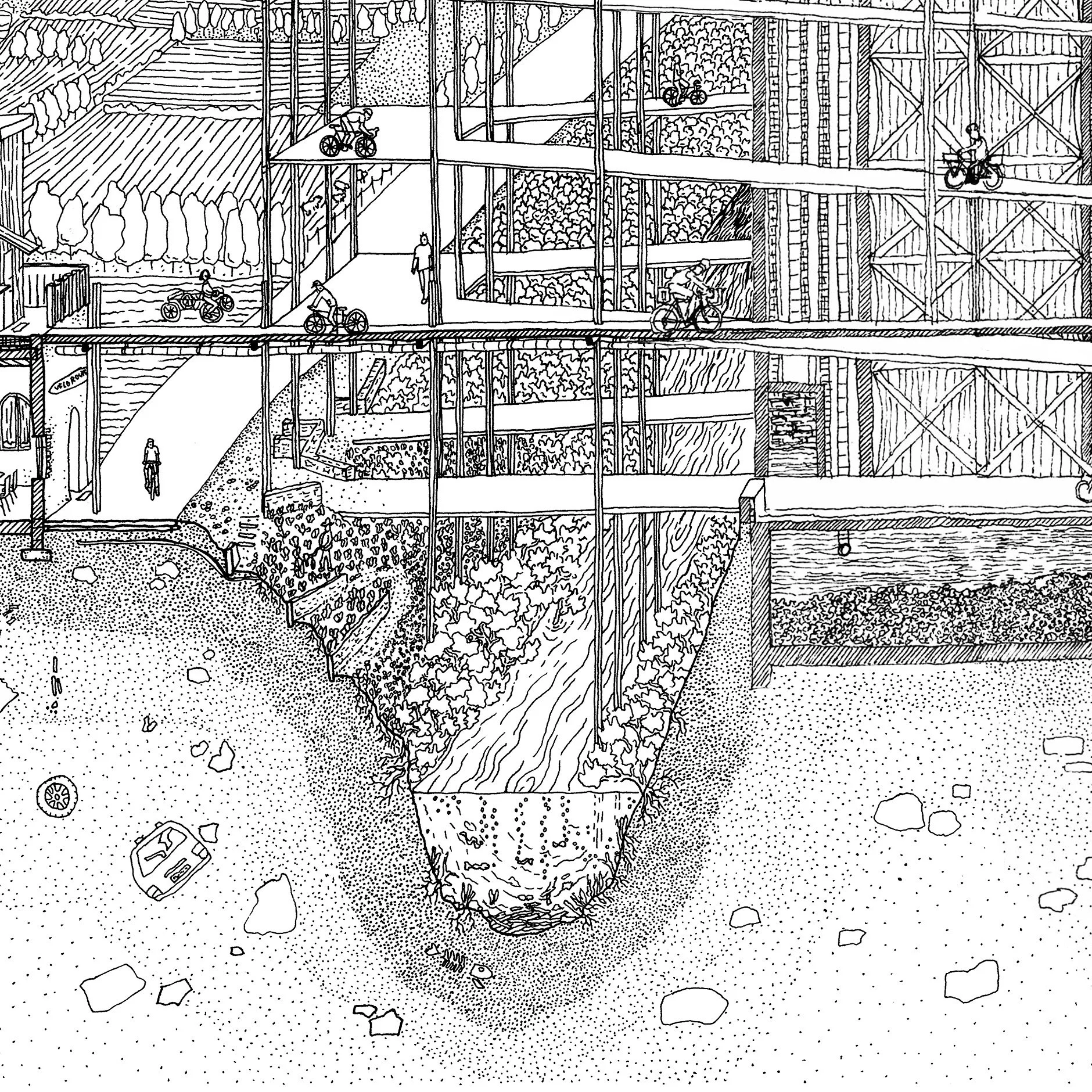 another cycle of life zoom 3.jpg