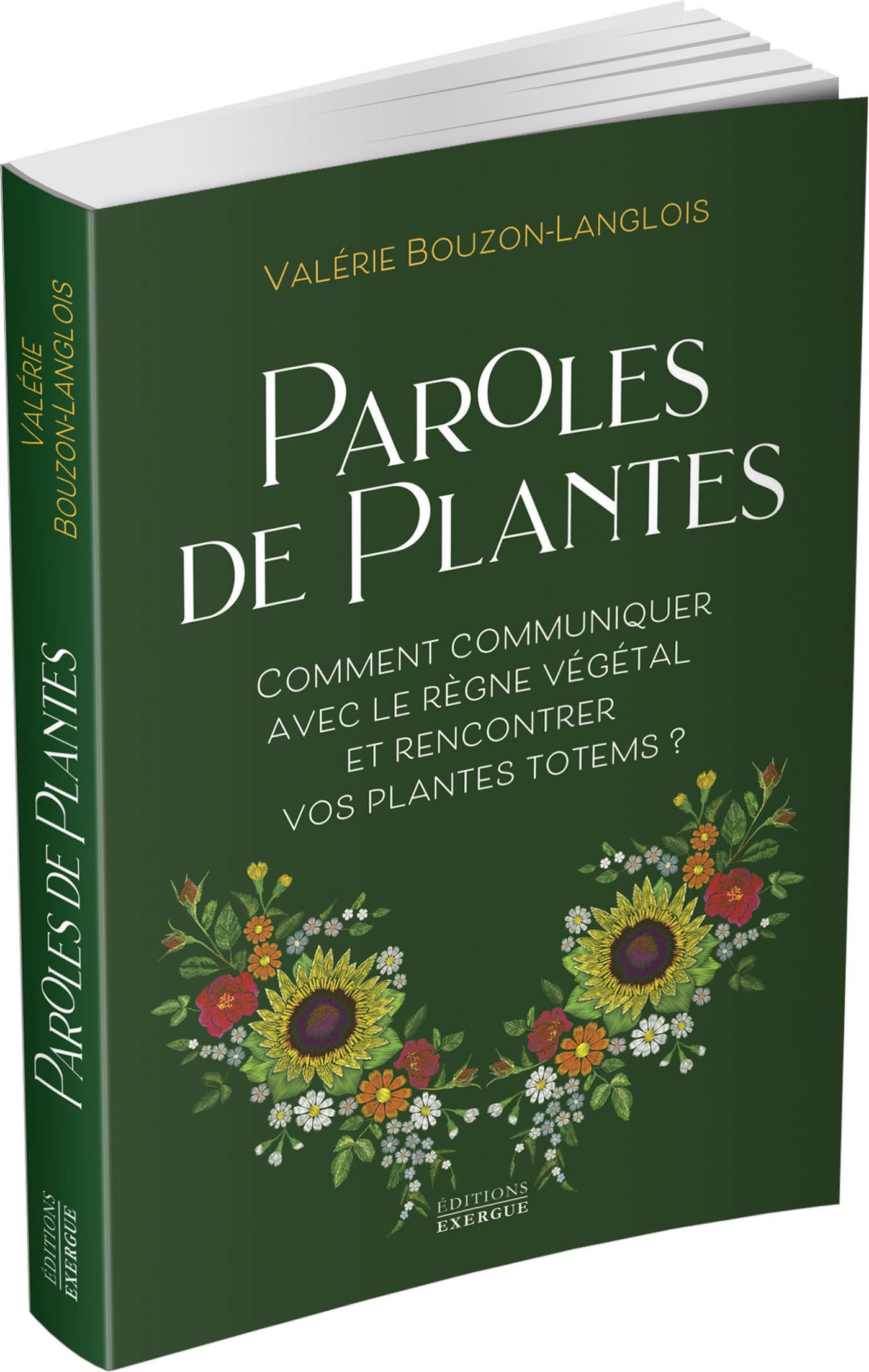 livre 3D.jpg