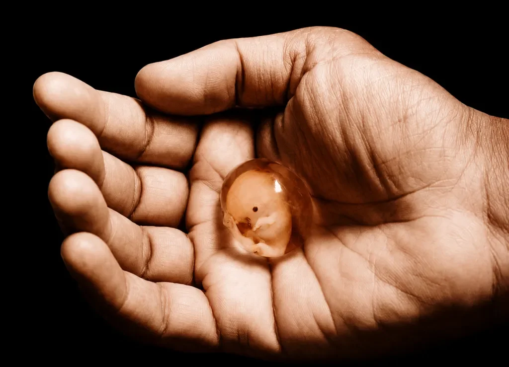 “I knit you together in your mother’s&nbsp;womb.