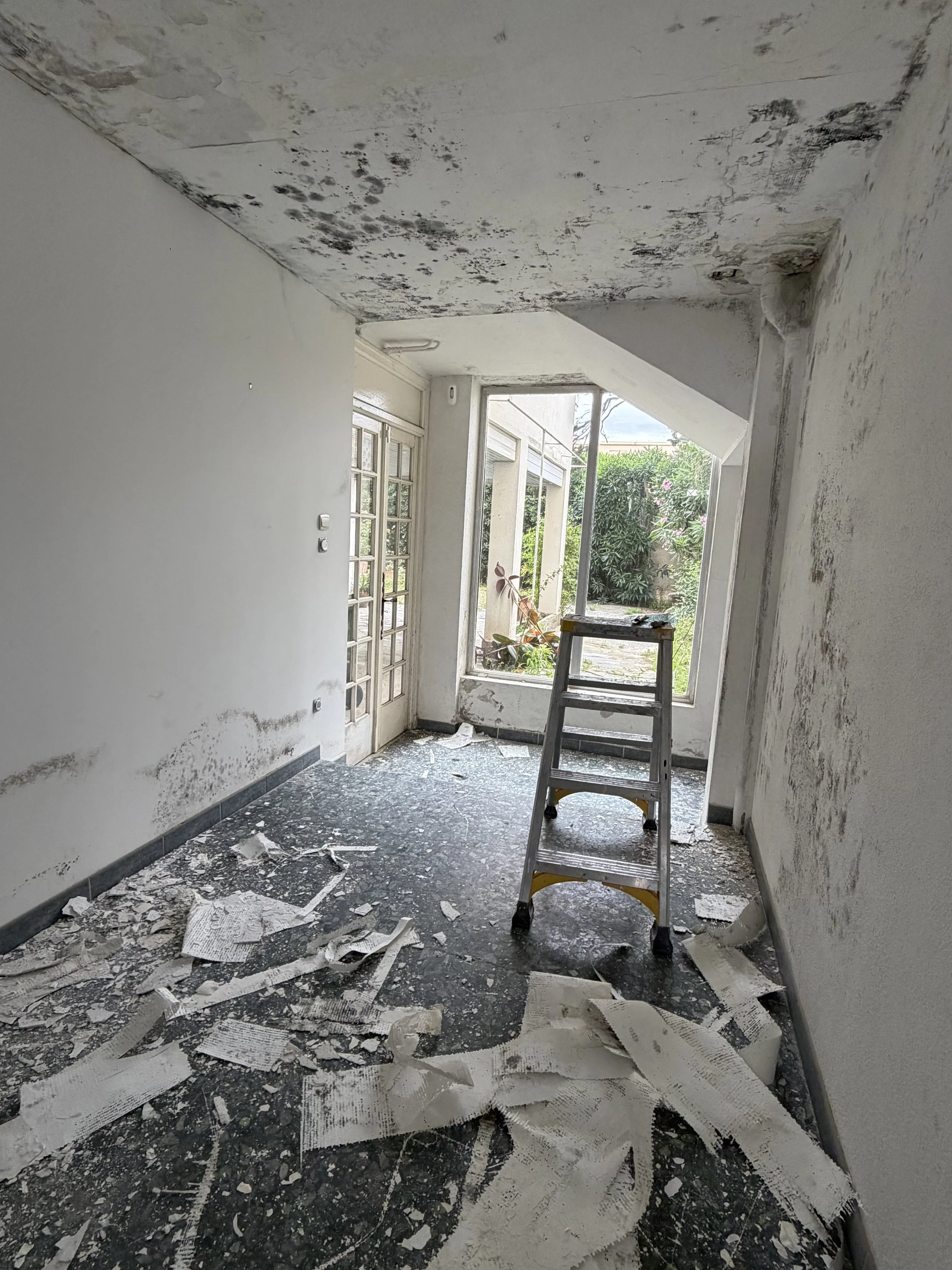 Une pièce en rénovation avec un plafond endommagé, des débris au sol, un escabeau au centre et une grande fenêtre donnant sur un jardin.