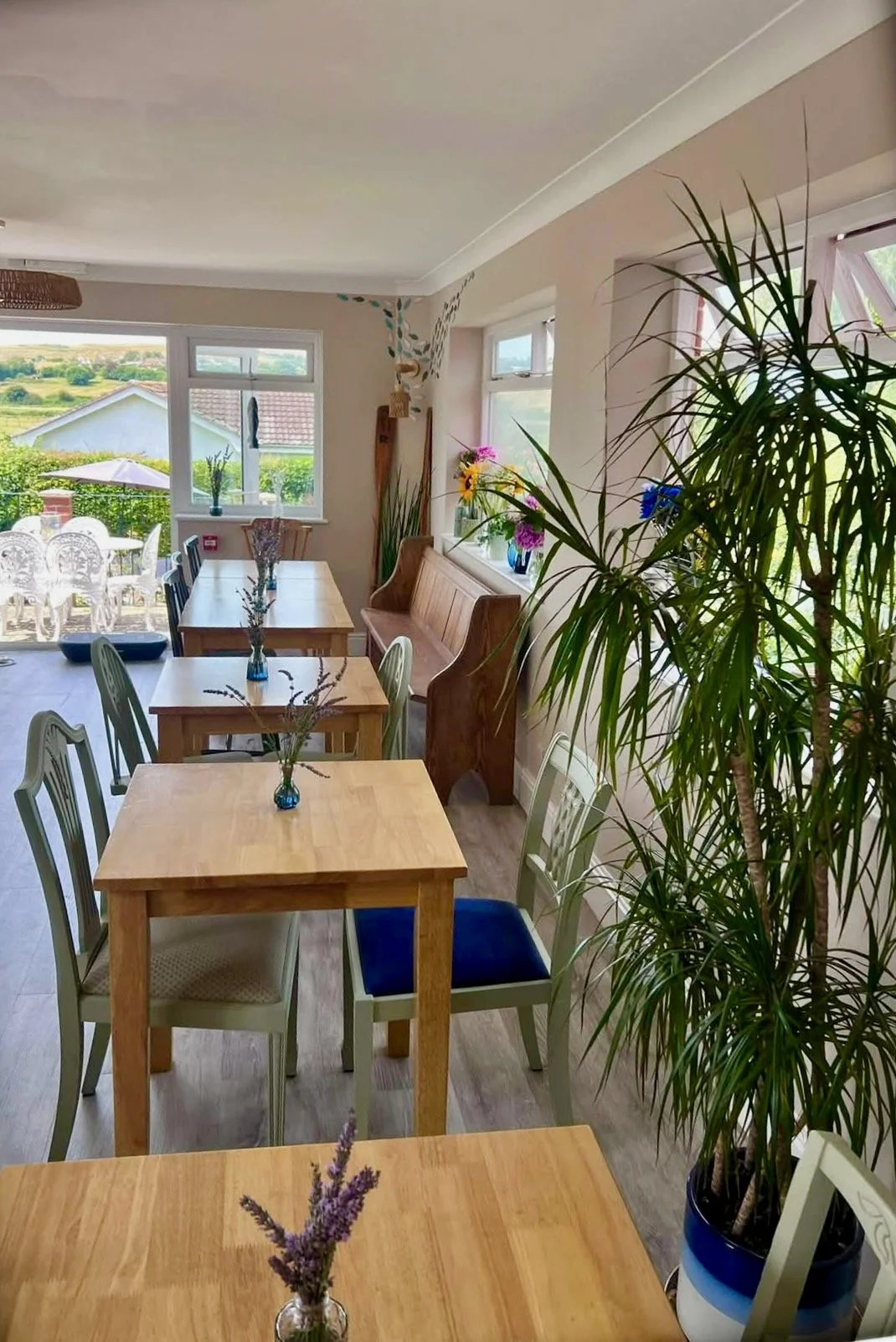 Britmead Guesthouse, Bed & Breakfast, Rope & Rudder, Continental Breakfast, Stay, Dine, Lounge, Relax, Explore, West Bay, Bridport, Dorset, Adventure, Overnight, Boutique, Terrace, Garden
